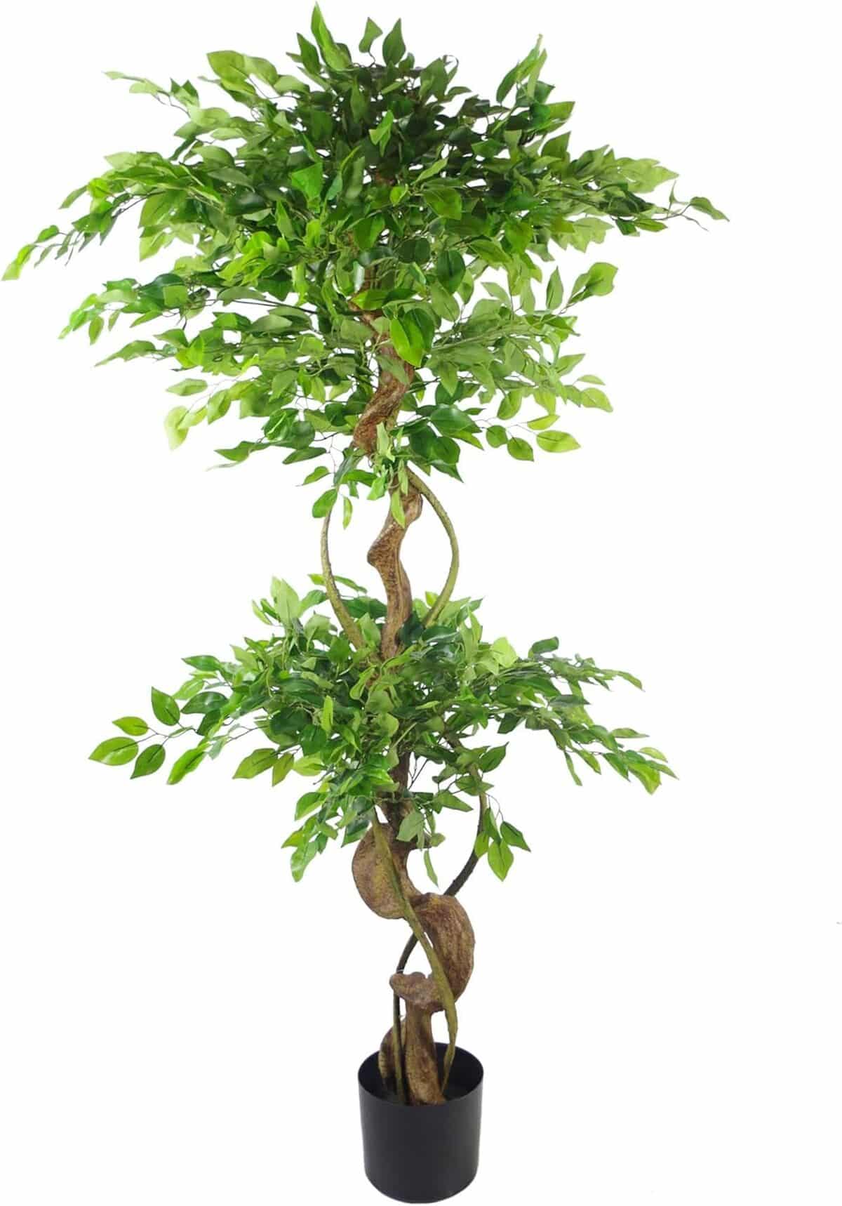 Avis : arbre artificiel ficus fruticosa 150 cm de Leaf