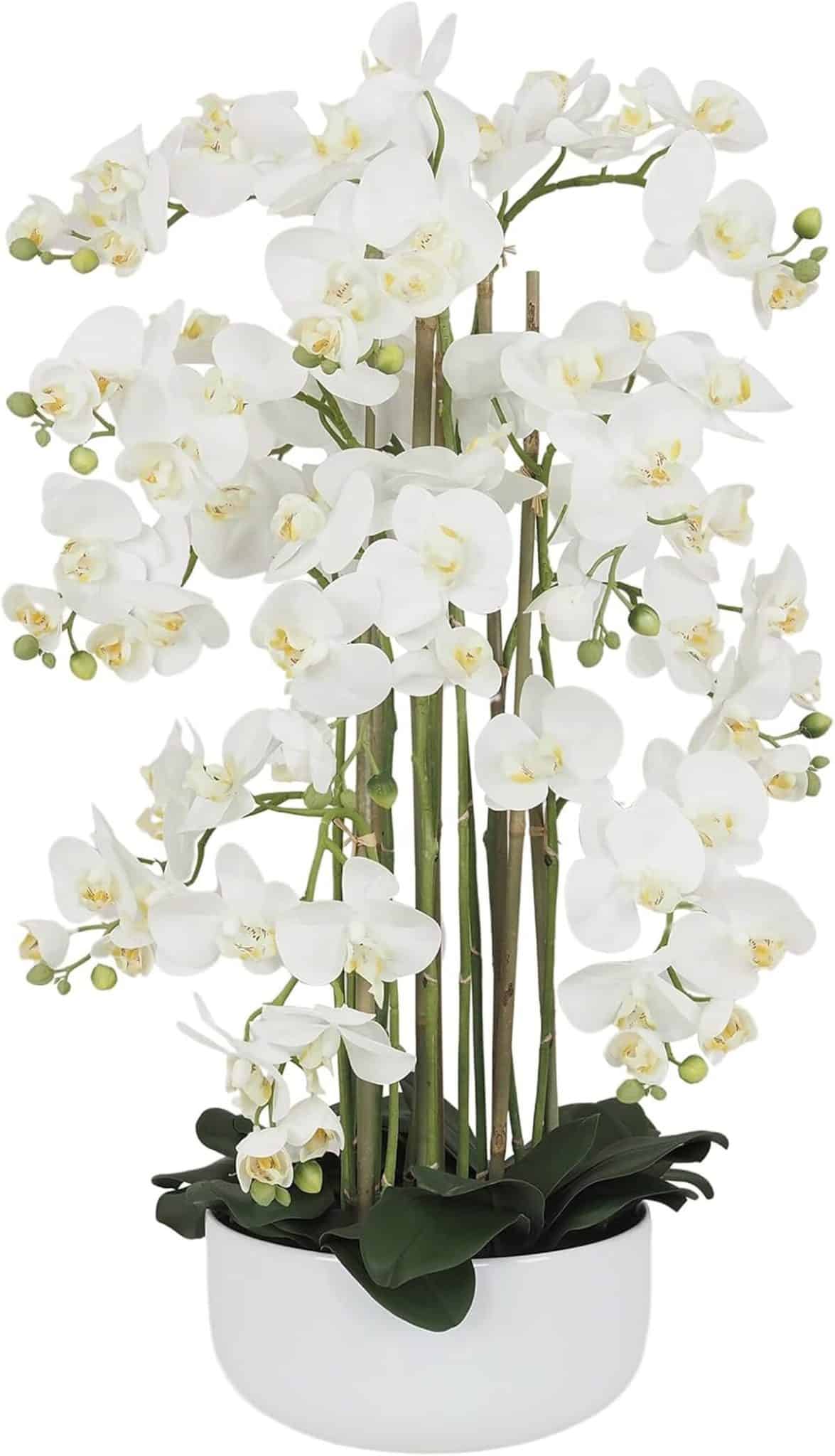 Avis : orchidées artificielles Ligne Déco élégantes et tendance