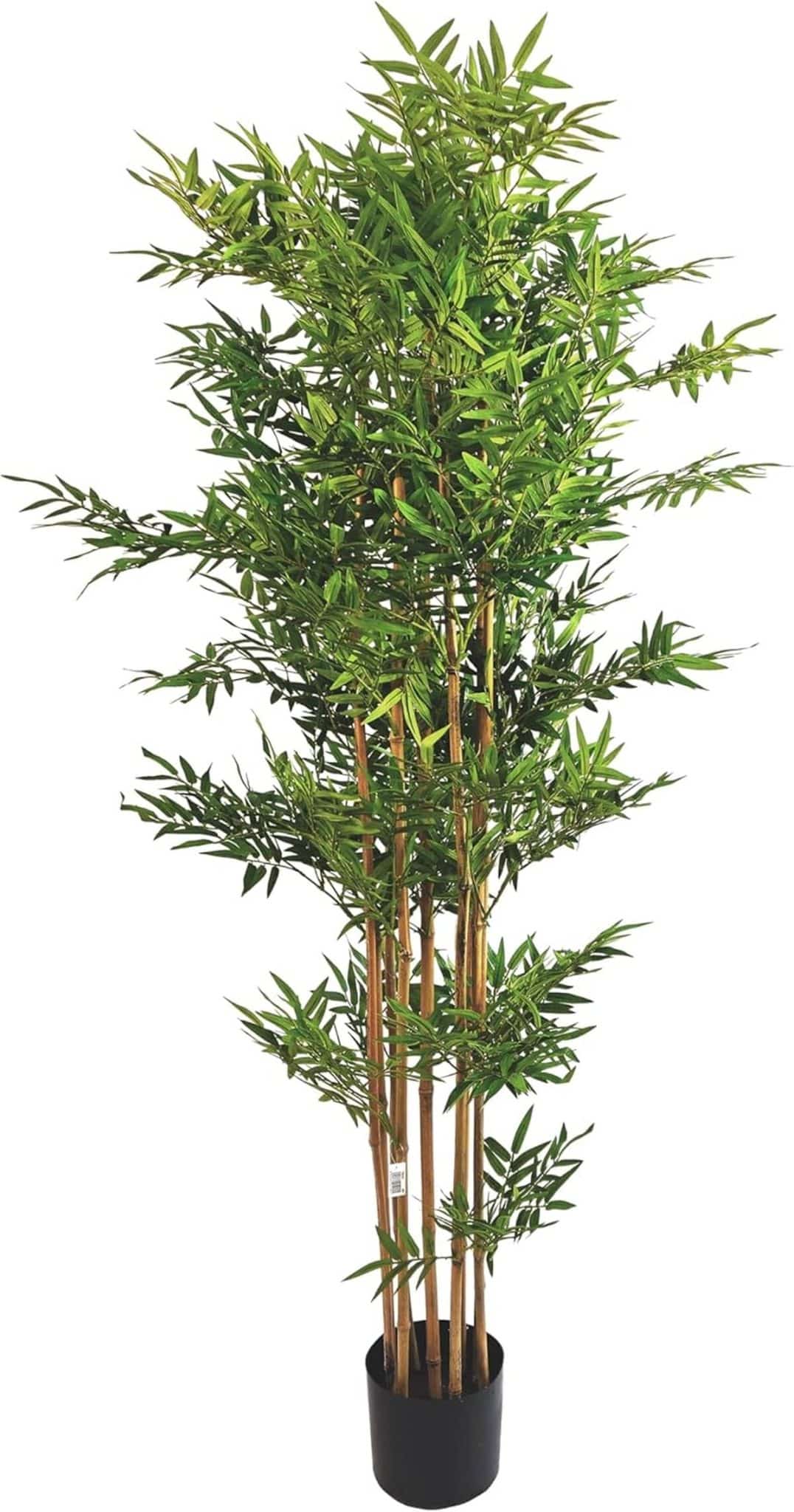 Avis sur la plante faux bambou Bambu' cm 155 : parfaite pour votre décoration