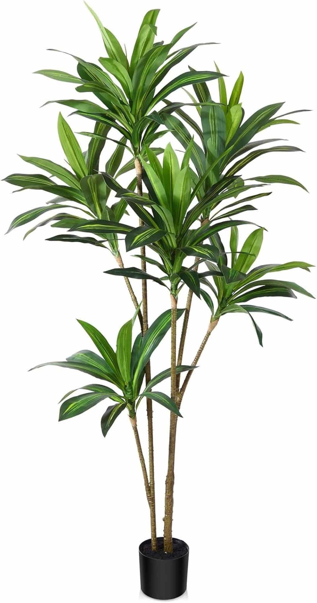 Avis sur l'arbre dragon artificiel Crosofmi : déco intérieure et extérieure