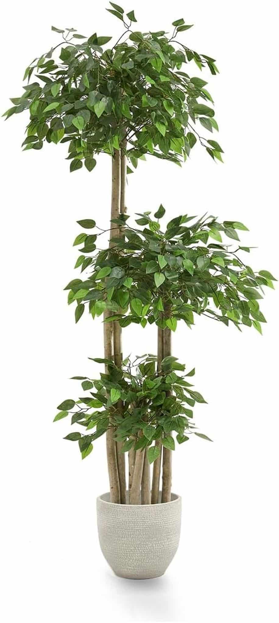 Avis sur le ficus artificiel 3 cimes de Maia Shop