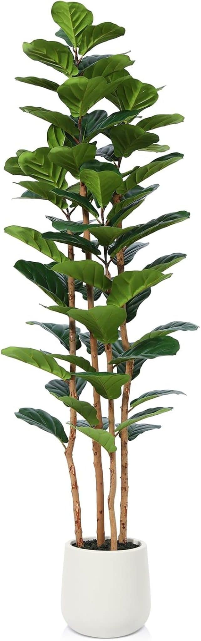 Avis sur le ficus lyrata artificiel 180 cm de Kazeila : une touche de verdure pour votre intérieur