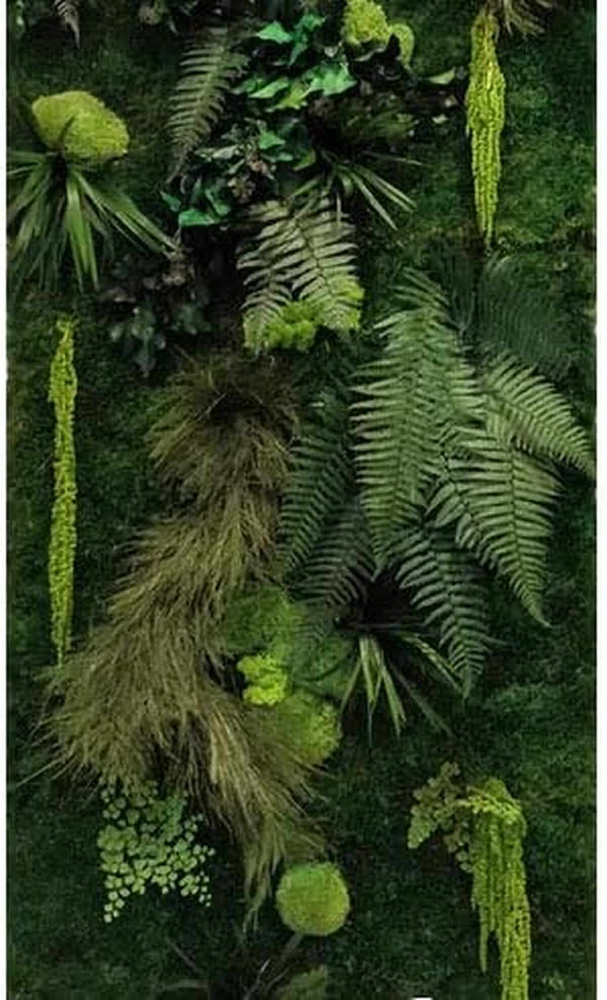 Avis : mur végétal stabilisé Jungle personnalisable et durable