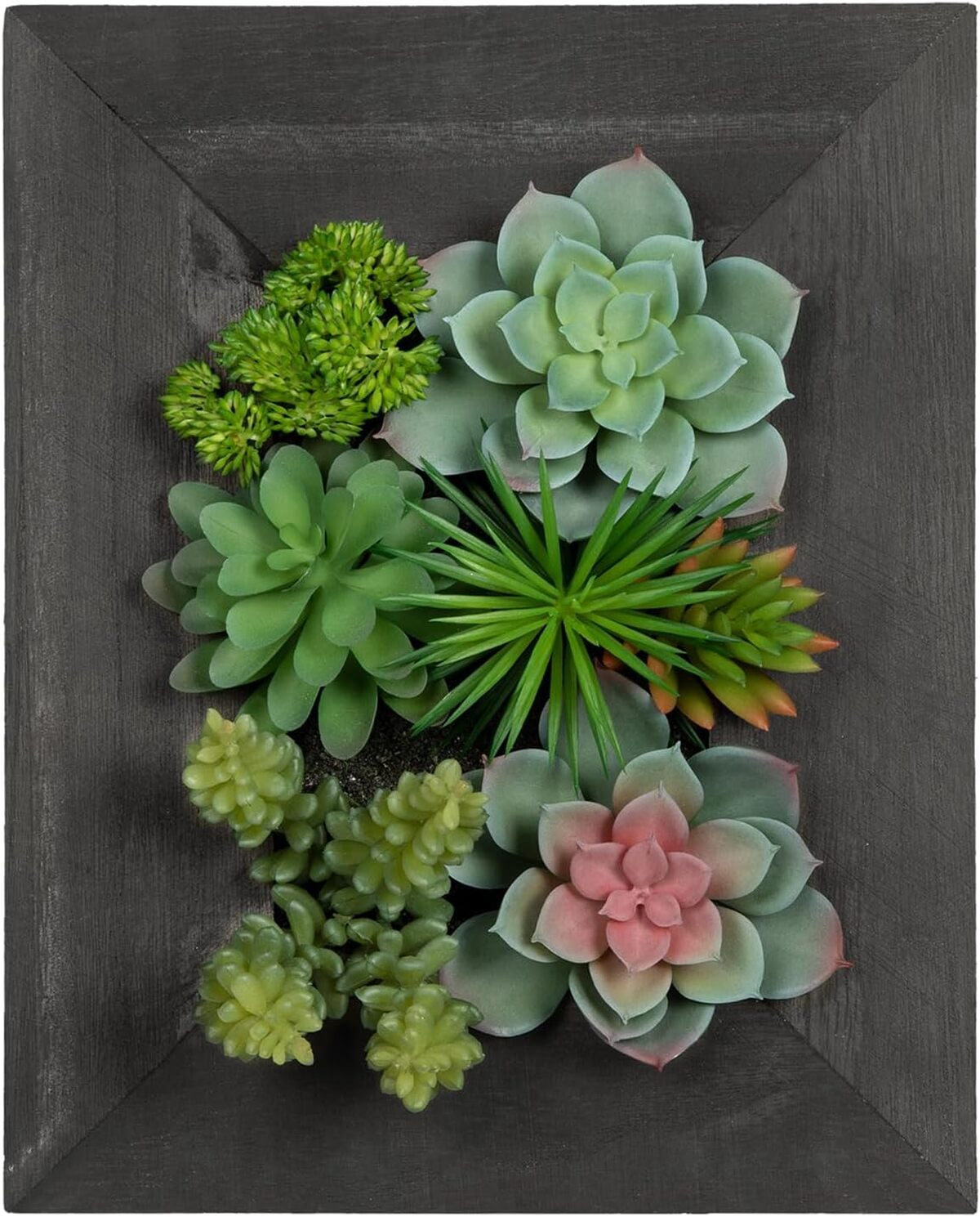 Avis sur l'arrangement mural Arborus de plantes succulentes artificielles 3D