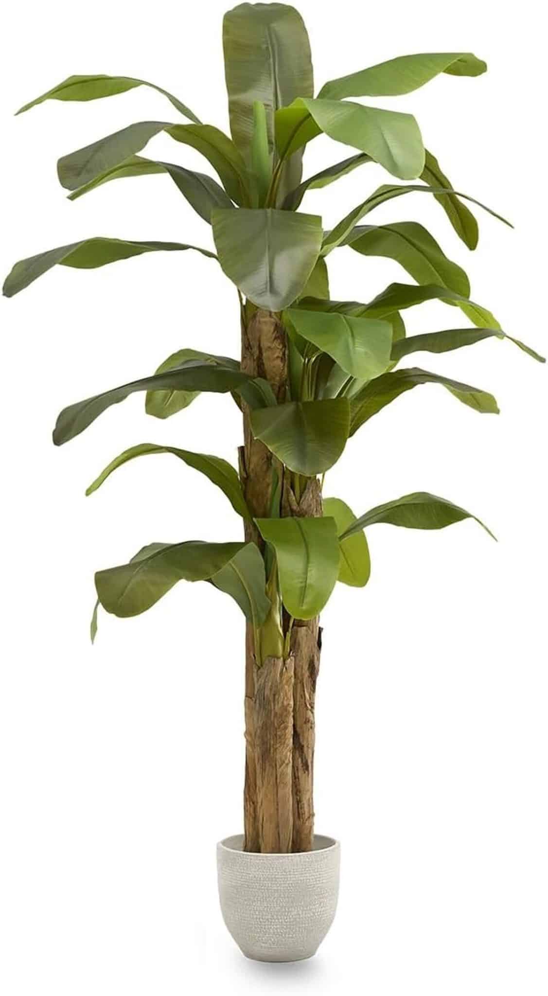 Avis sur le bananier artificiel 210 cm de Maia Shop