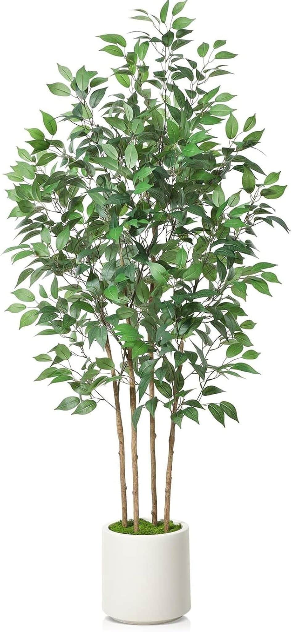 Avis sur le ficus artificiel soguyi 180 cm : élégance et nature chez vous