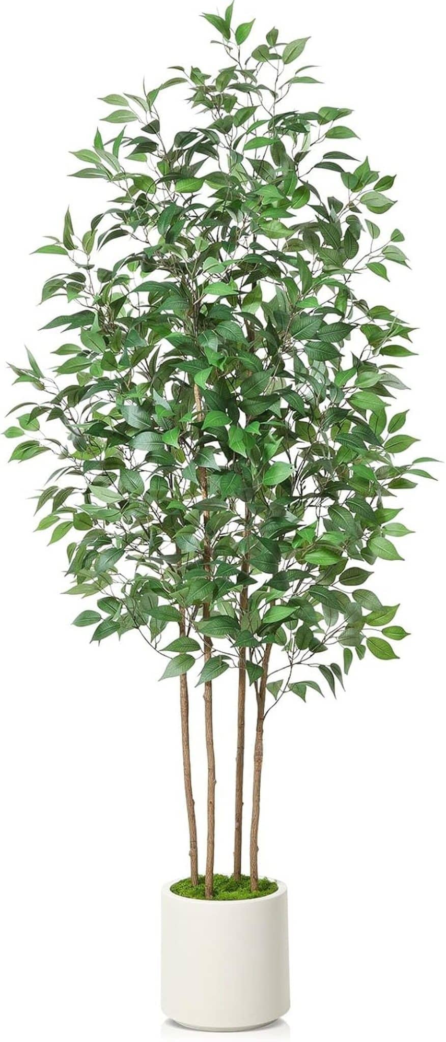 Avis sur le ficus artificiel SOGUYI 210 cm : l'élégance chez vous