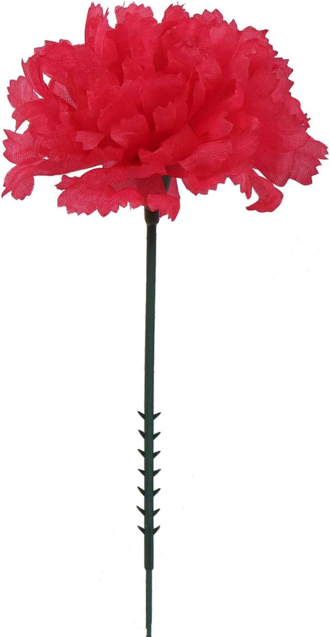 Avis sur les pics à œillets en soie fuchsia pour mariage et déco