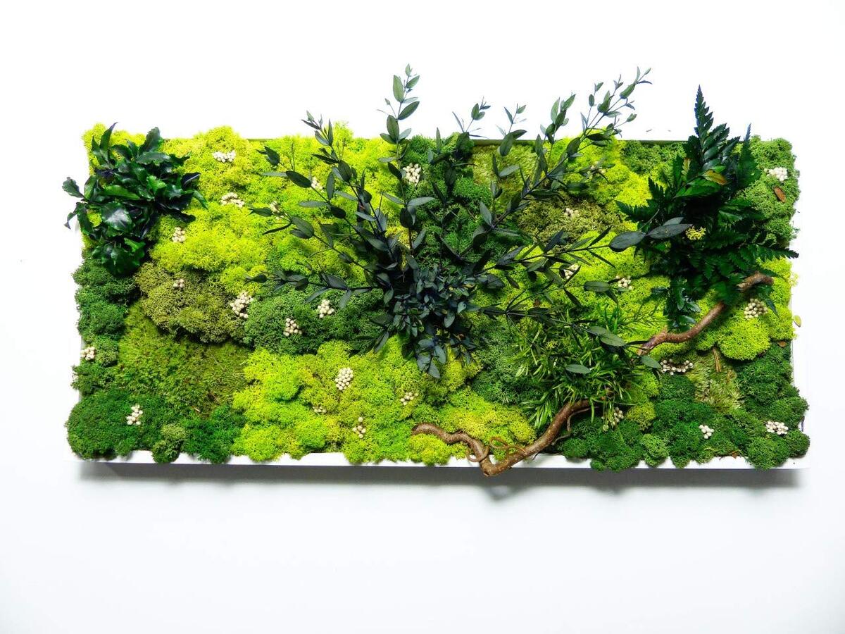 Avis tableau végétal stabilisé : un souffle de nature chez vous