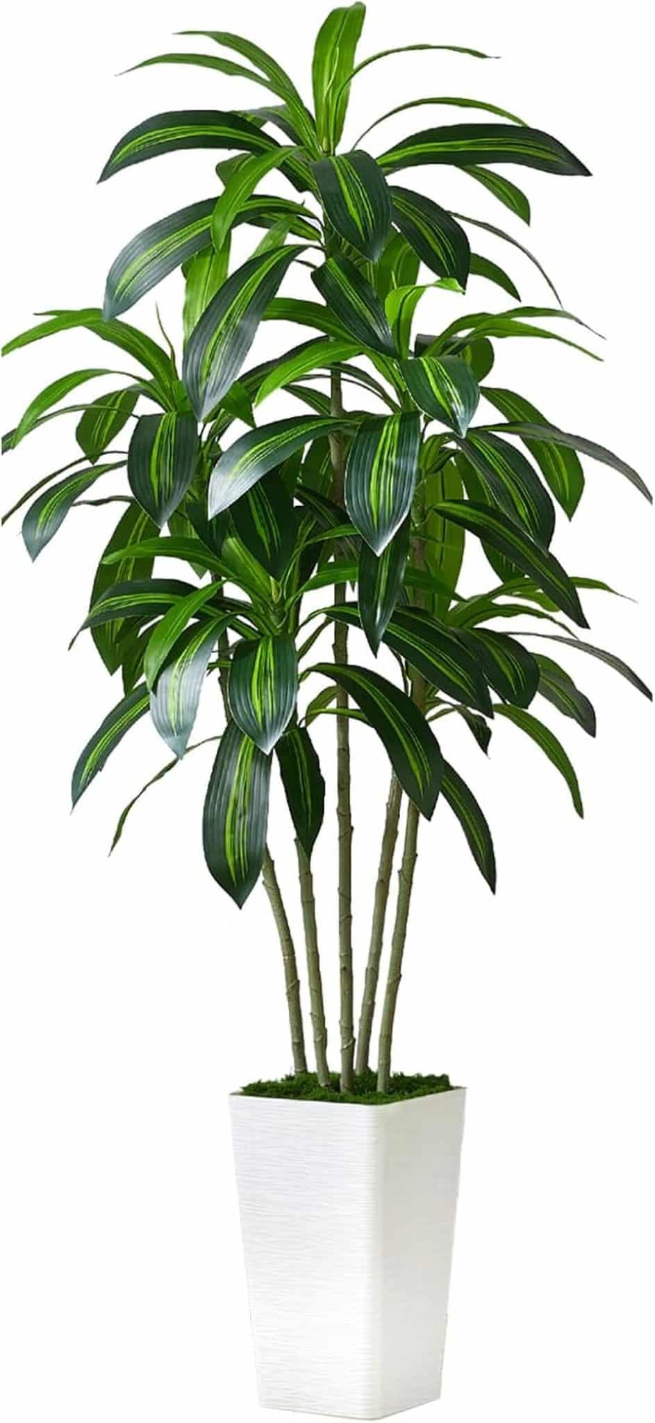 Test du dracaena artificiel : yucca tropical 1, 8 m avec pot blanc