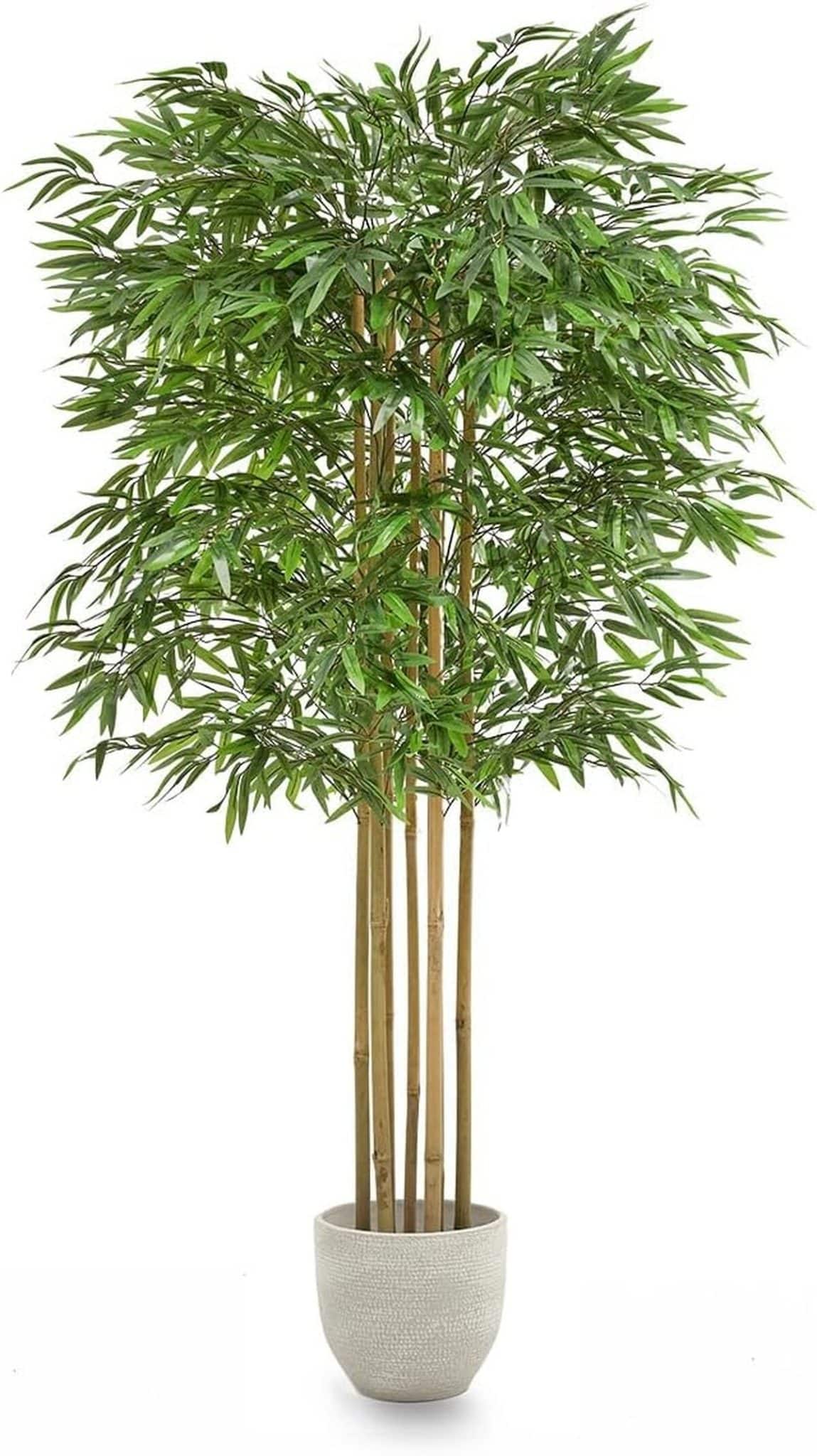 Avis sur la plante bambou artificielle Maia Shop : déco d'intérieur élégante
