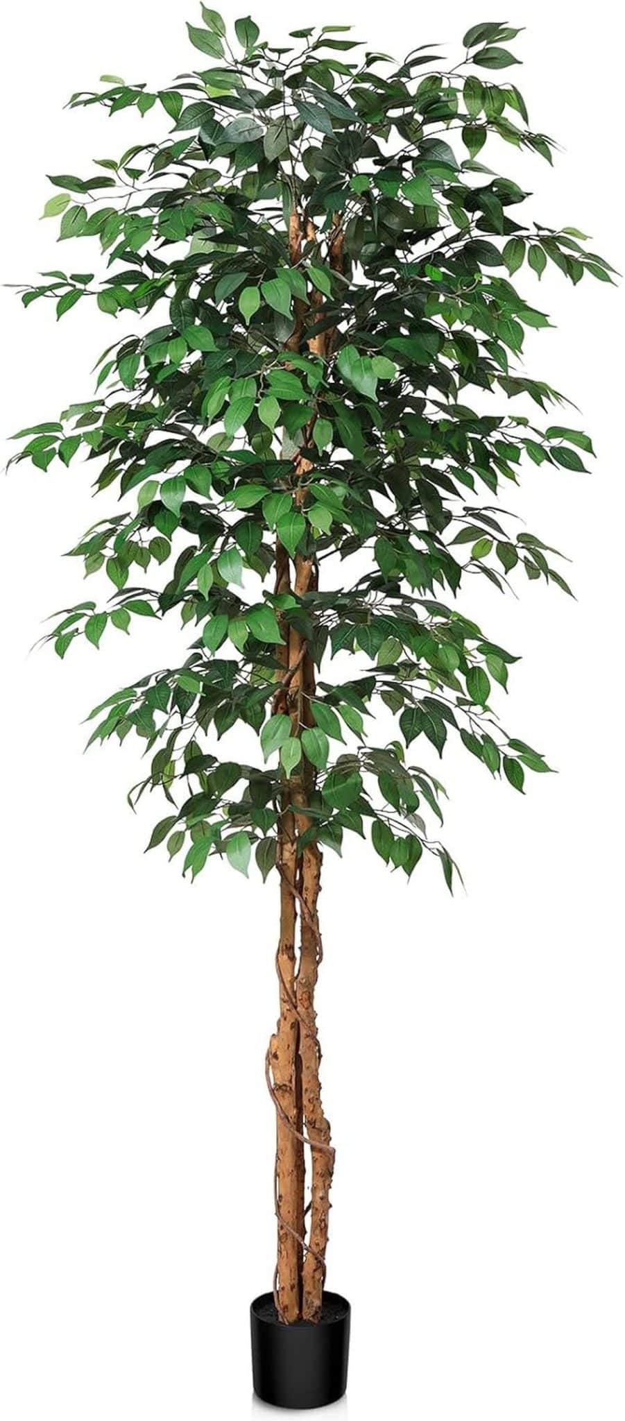 Avis sur le ficus artificiel SOGUYI : grandeur et réalisme au rendez-vous