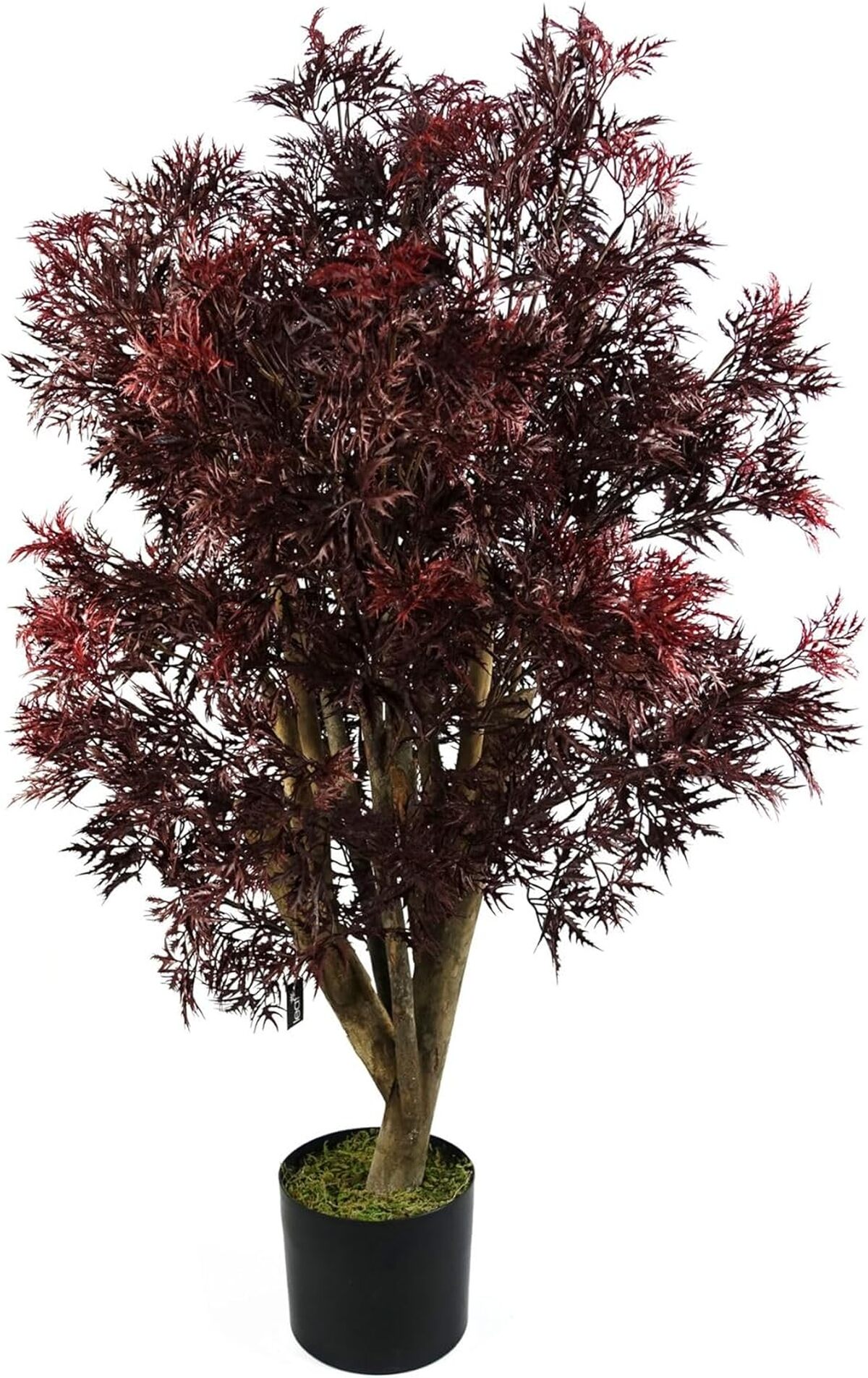 Avis sur le leaf arbre artificiel Podocarpus réaliste XL