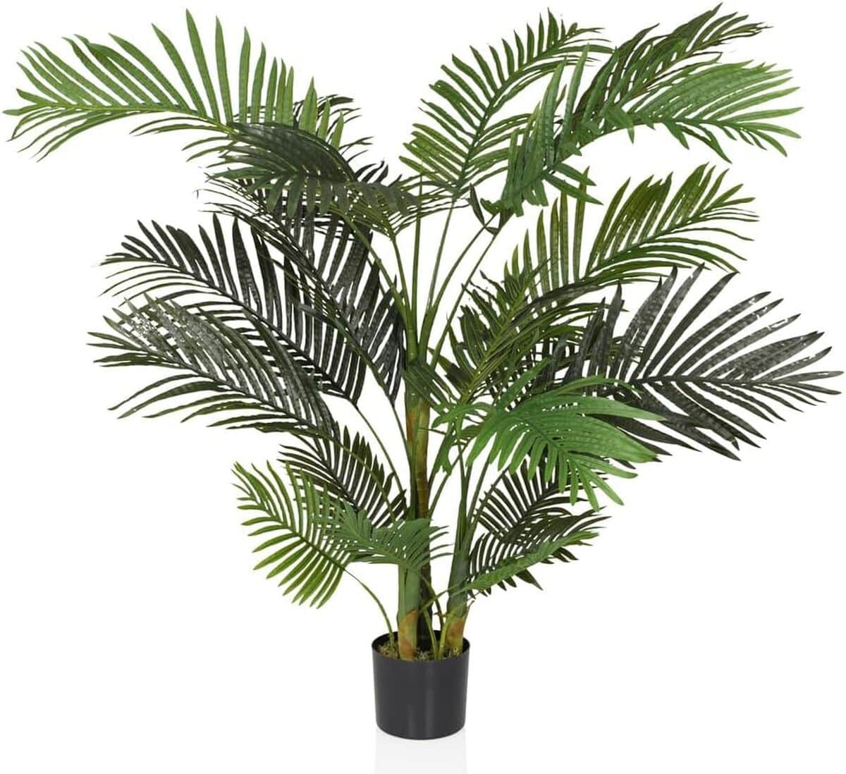 Avis palmier hjh OFFICE Areca II 150cm : décor tropical