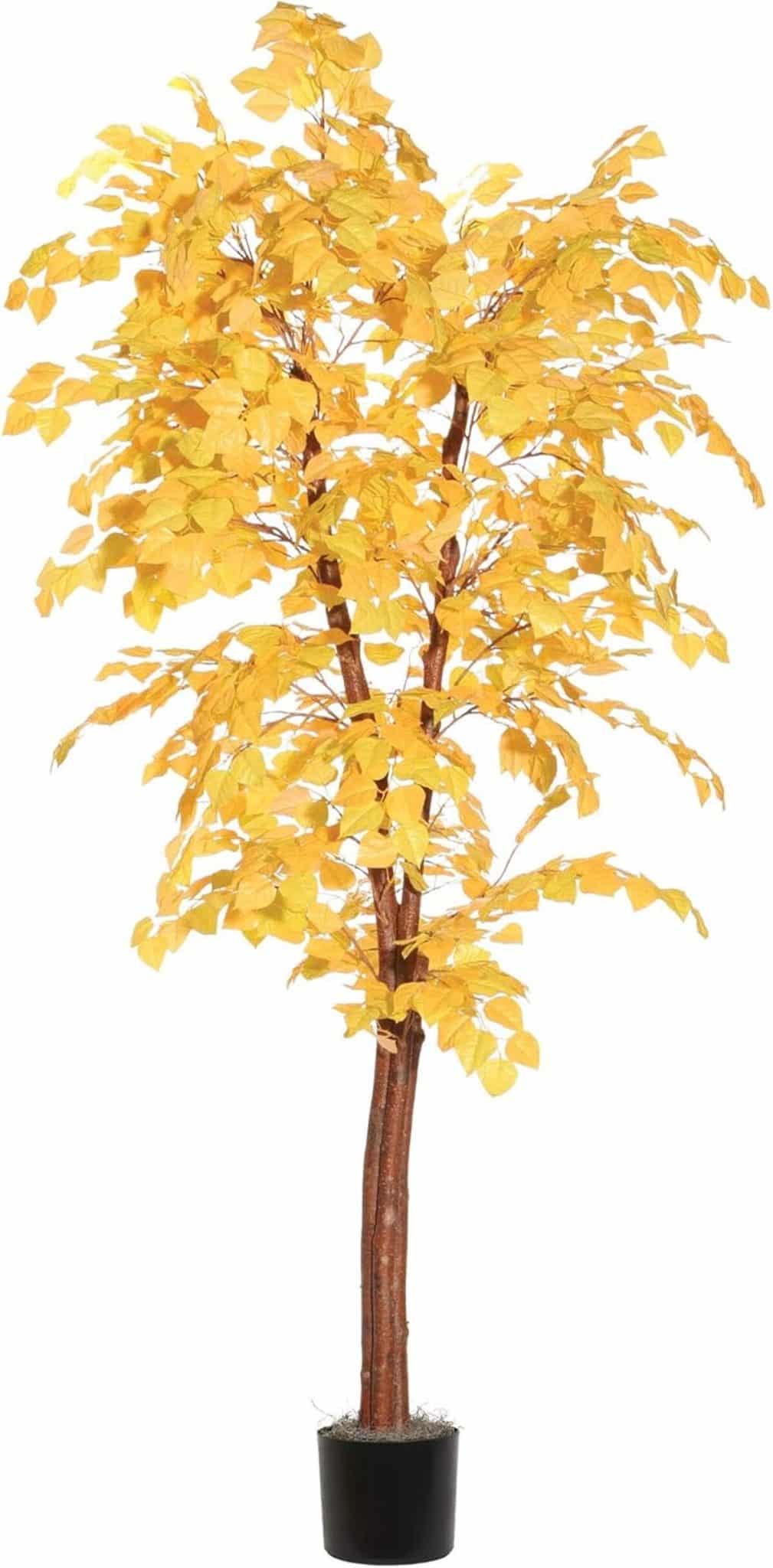 Avis : pot en plastique noir 1, 8 m tremble doré Vickerman