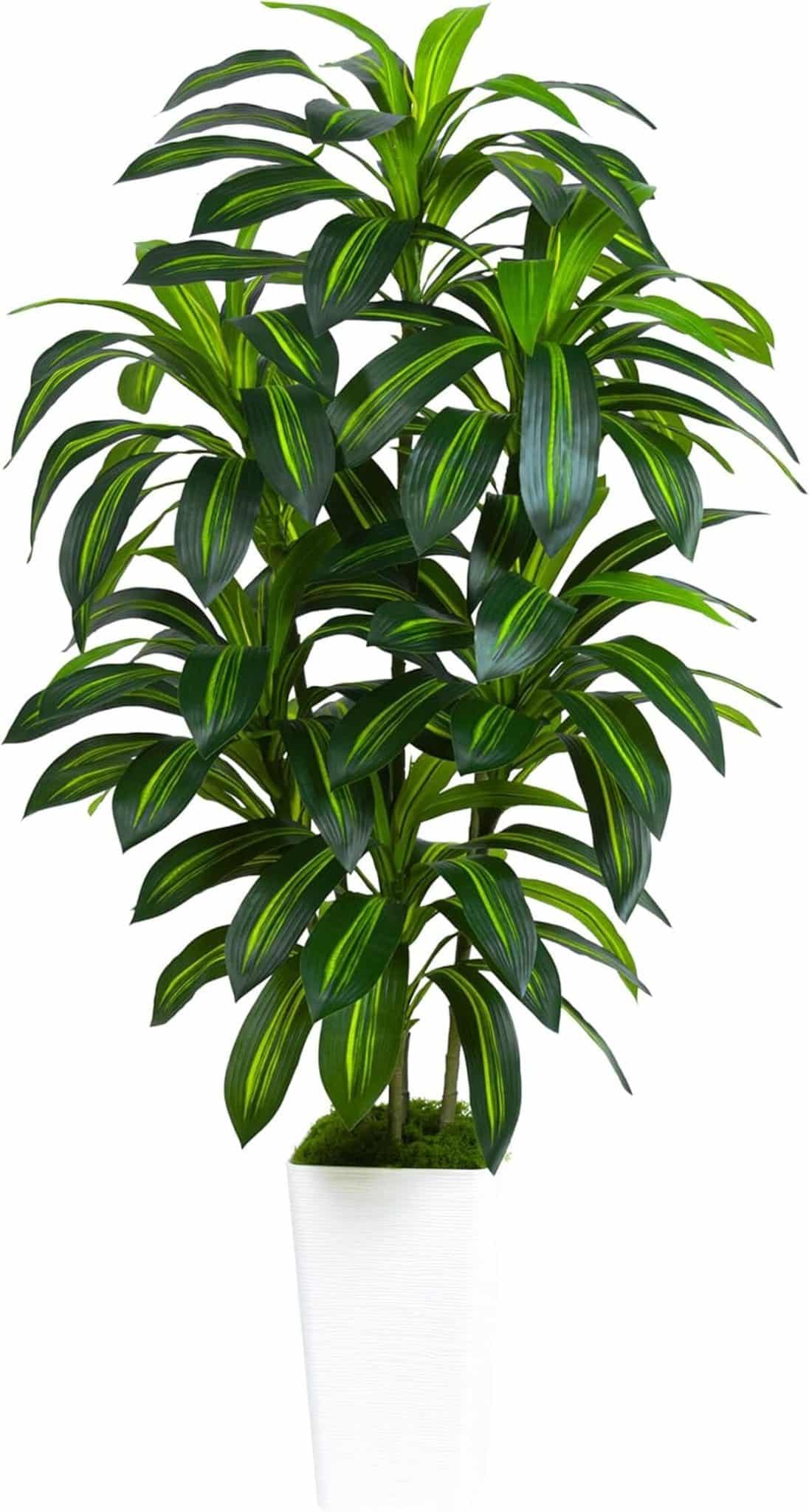 Avis TXABL : dracaena artificielle 1, 8 m en pot blanc pour votre déco