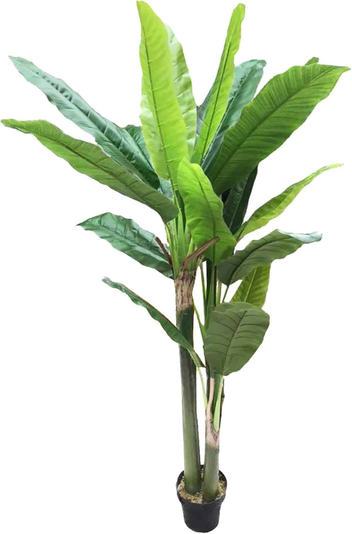 Test : amérique plante artificielle en soie protection UV 6