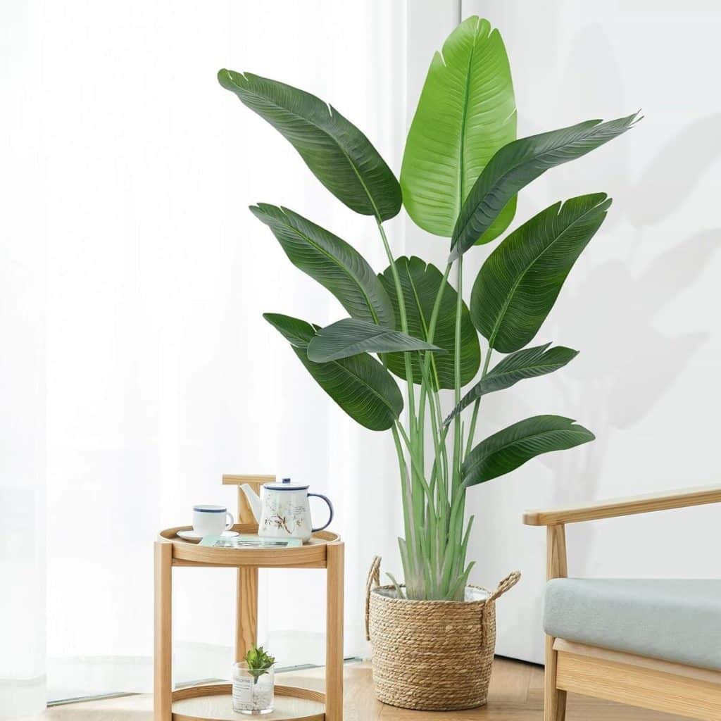 Avis : keeplush plante artificielle oiseaux de paradis 200 cm pour intérieur et extérieur
