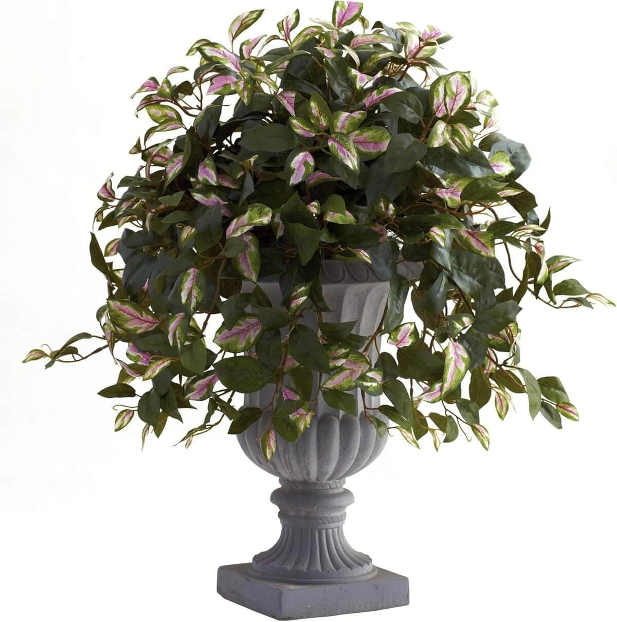 Avis : plante artificielle Hoya avec urne décorative de NearlyNatural