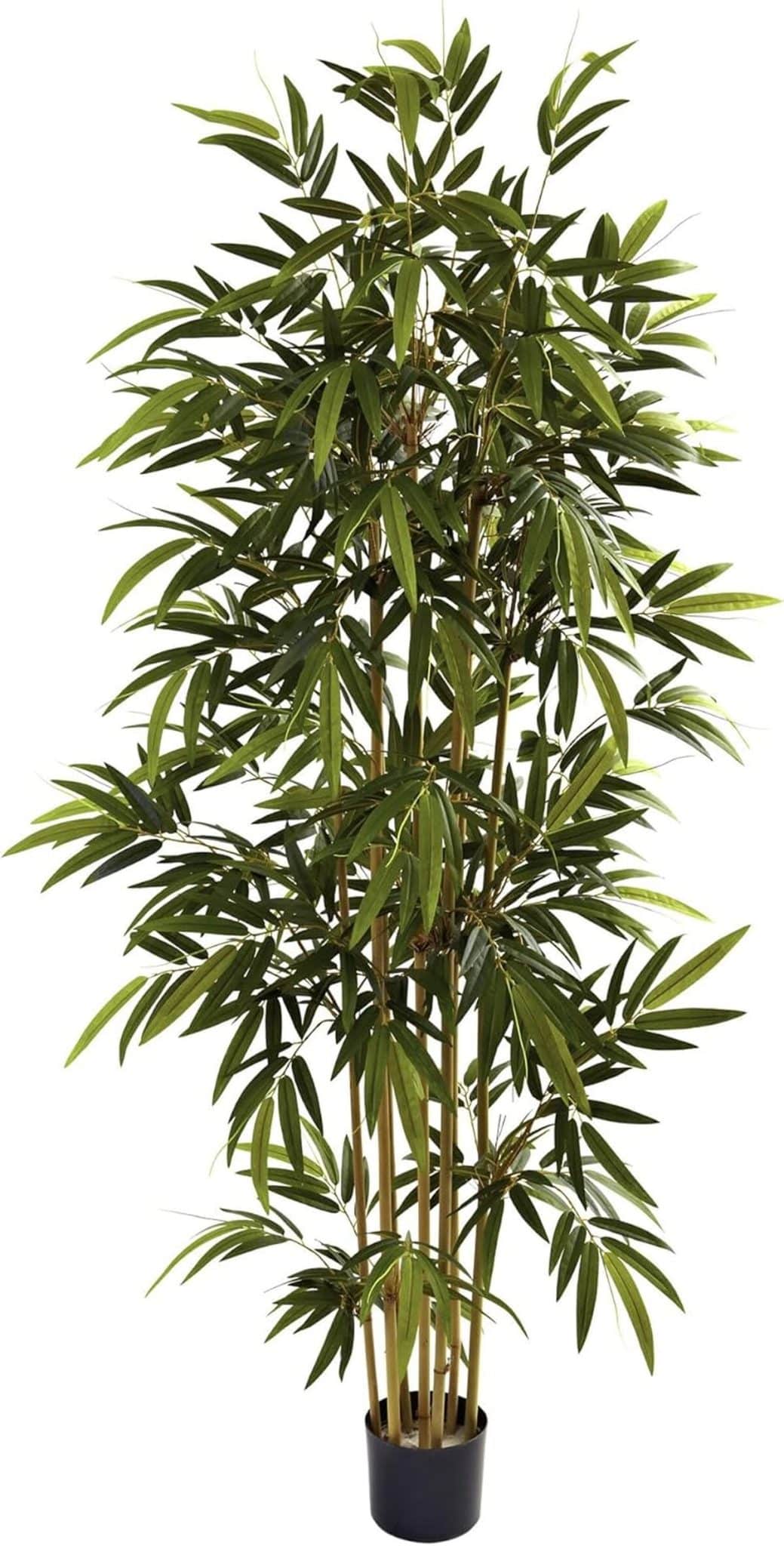 Avis sur le bamboo tree 6-feet : naturel et décoratif