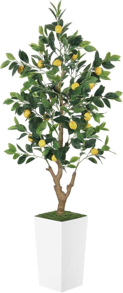 Avis sur le citronnier artificiel PHYTREE de 1, 5 m et son pot blanc