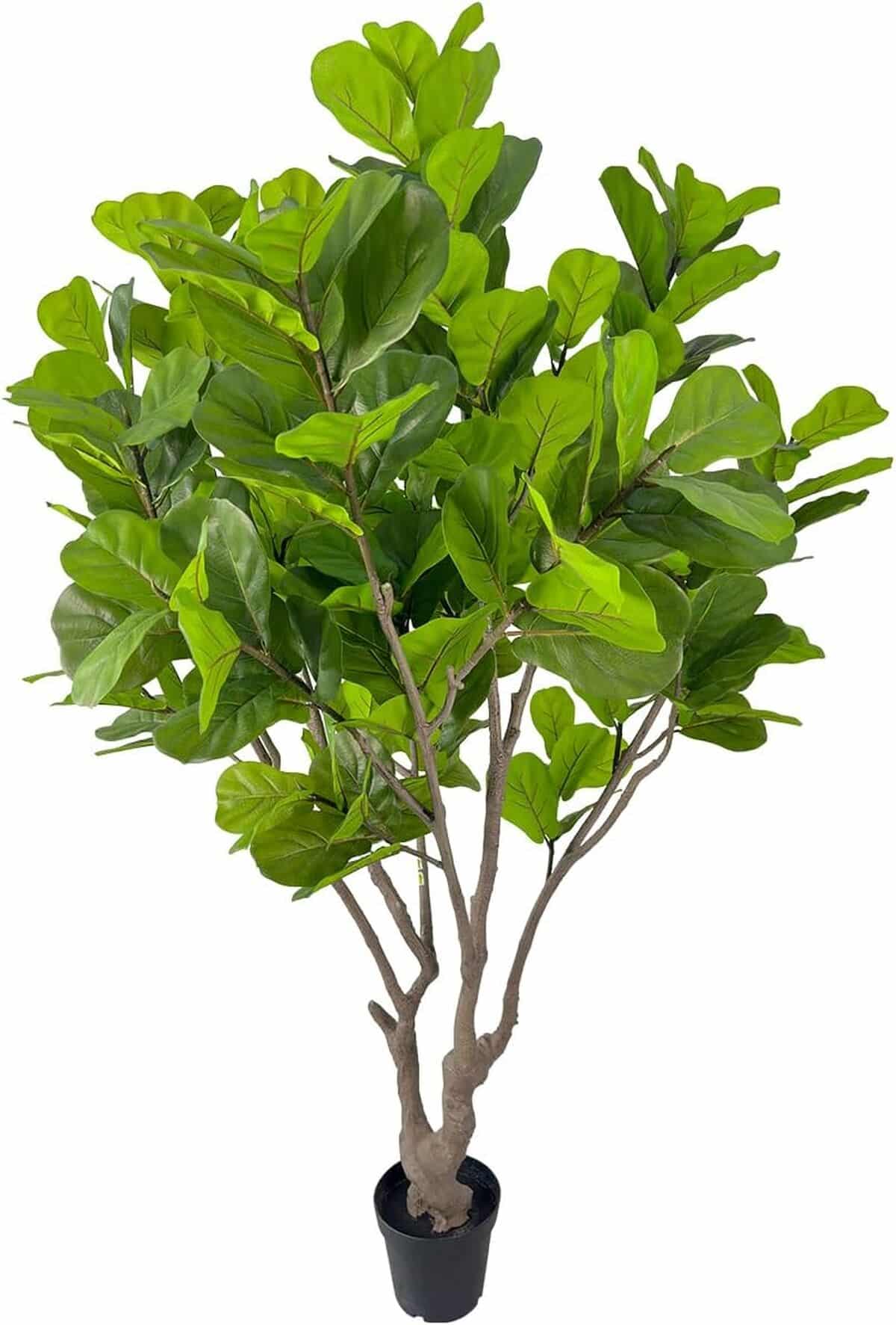 Avis sur le figuier artificiel AfanD à feuilles de violon 2, 4 m