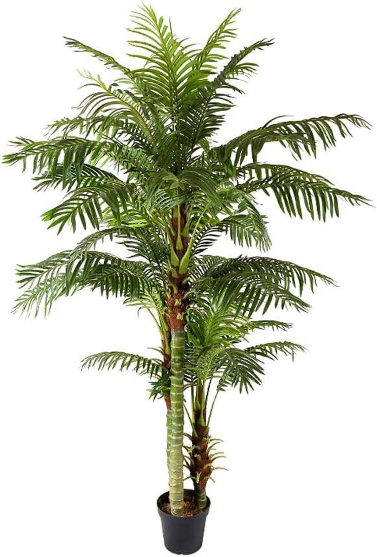 Avis sur le palmier artificiel Areca 235 cm - Décoration XXL
