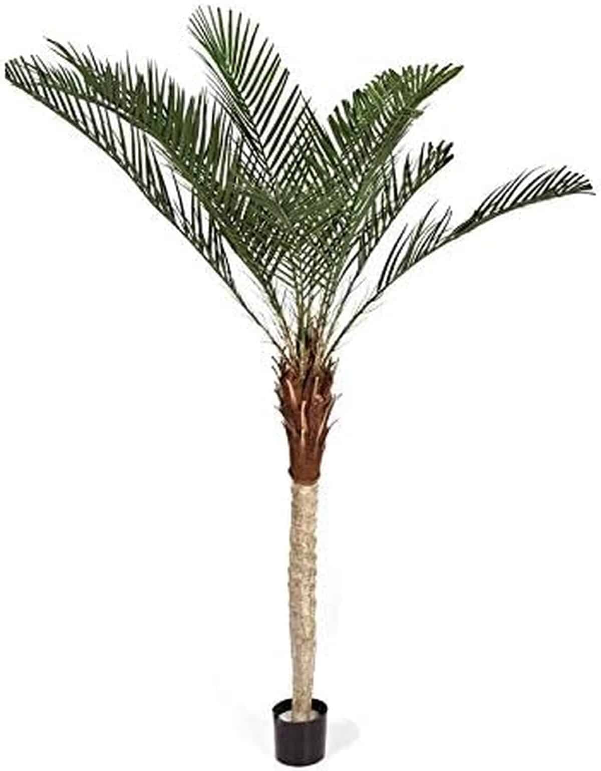 Avis sur le palmier phoenix artificiel 210 cm d'artplants.de