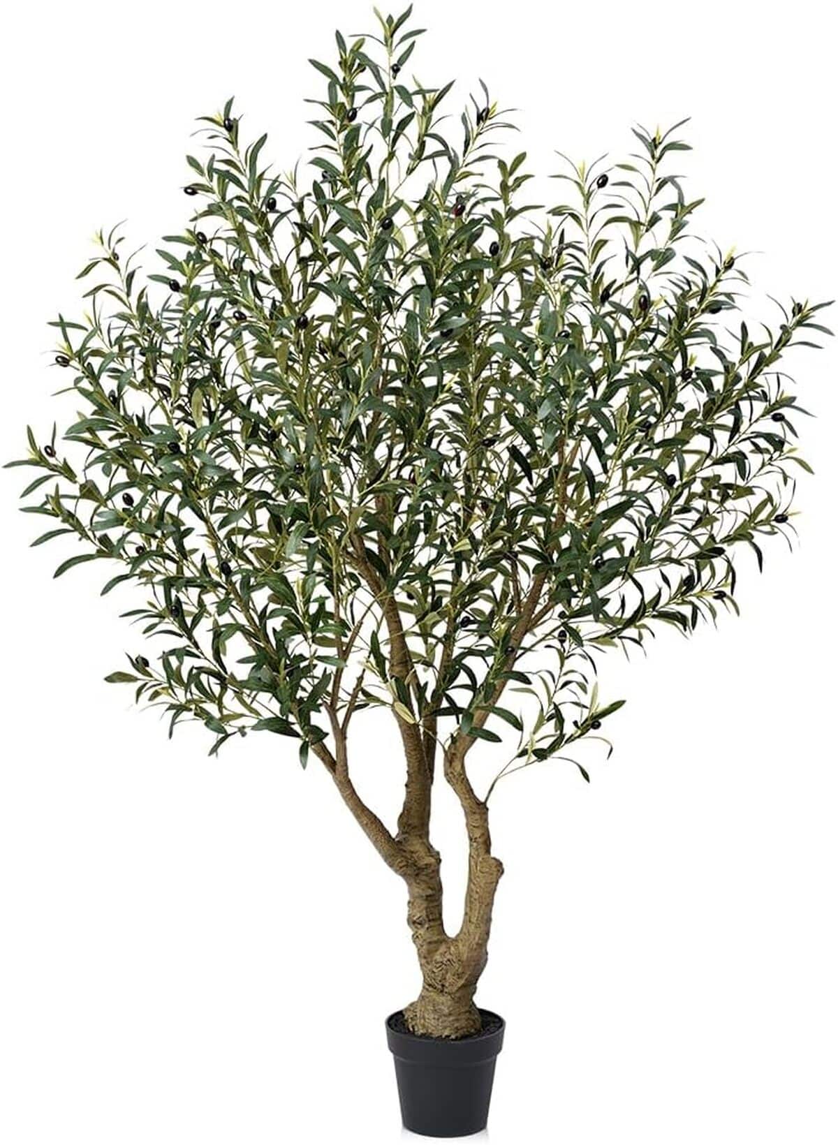 Avis sur l'olivier artificiel 210 cm VeriNatural : plante en soie résistante aux UV