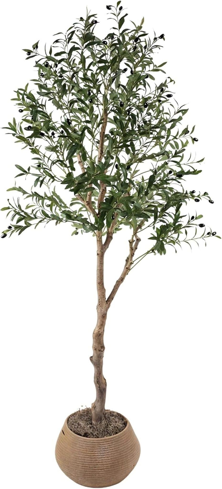 Avis sur l'olivier artificiel CASA MODERNO : verdure réaliste pour votre intérieur