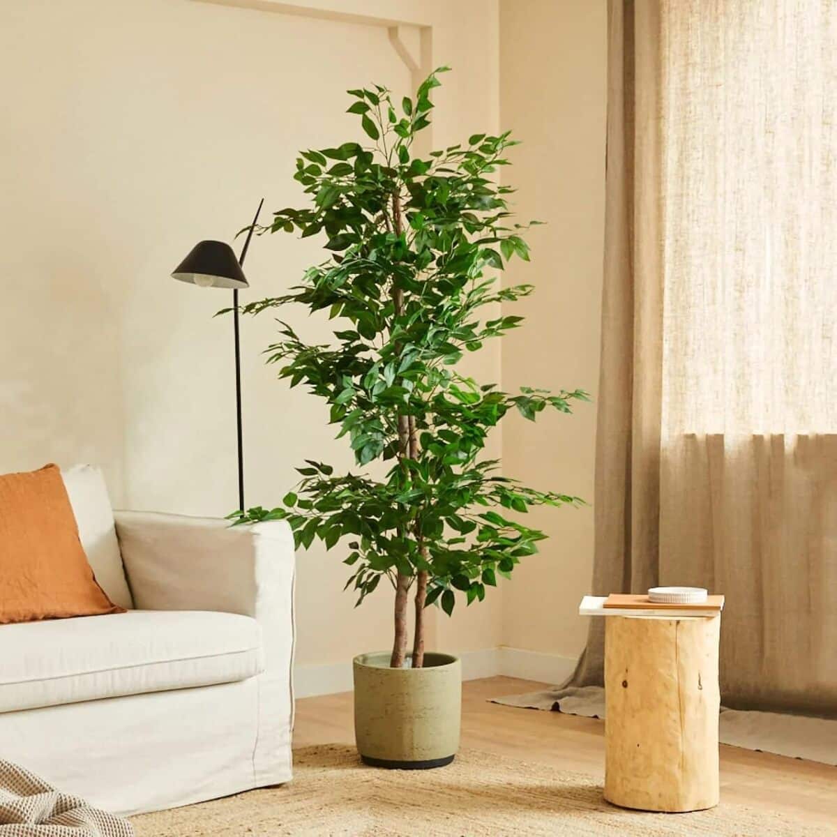 Test du ficus Blaine 150cm : grande plante artificielle