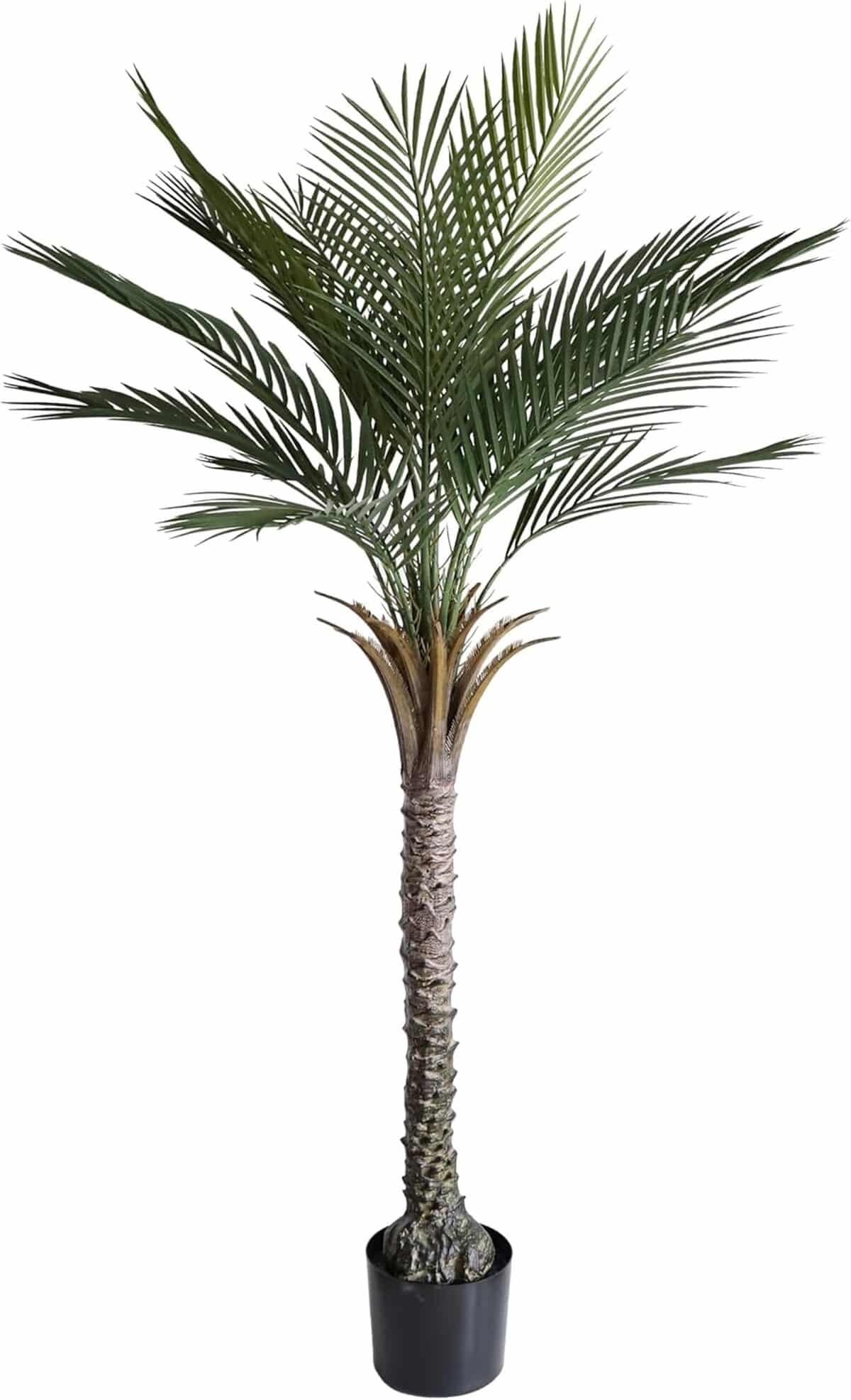 Test : palmier artificiel momoplant 1, 5 m pour intérieur et extérieur