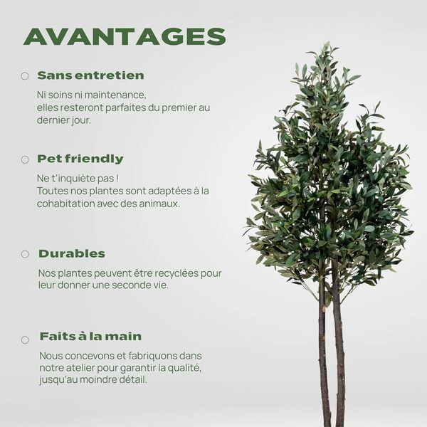 BLAINE | Oliver Artificiel 180cm | Plantes Artificielles Interieur | Plantes Artificielles | Plante Artificielle Exterieur | Grande Plante Artificielle Interieur | Arbre Artificiel | Fausses Plantes