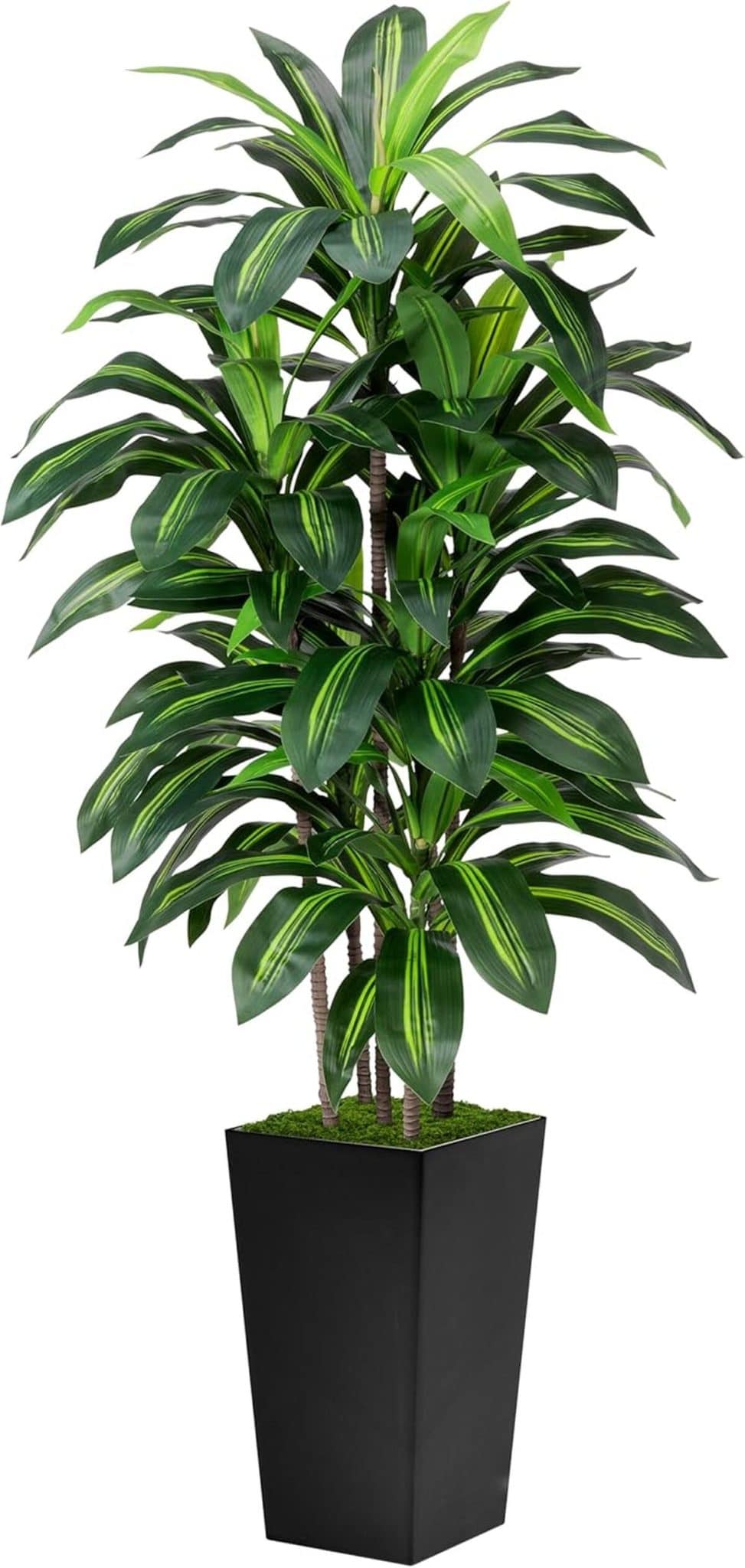 Avis : dracaena artificiel 1, 5 m en jardinière noire
