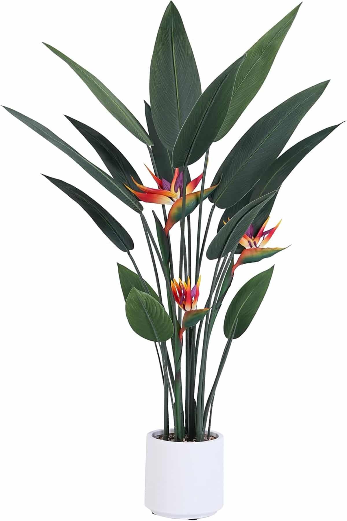 Avis : plante artificielle Bird of Paradise avec pot blanc