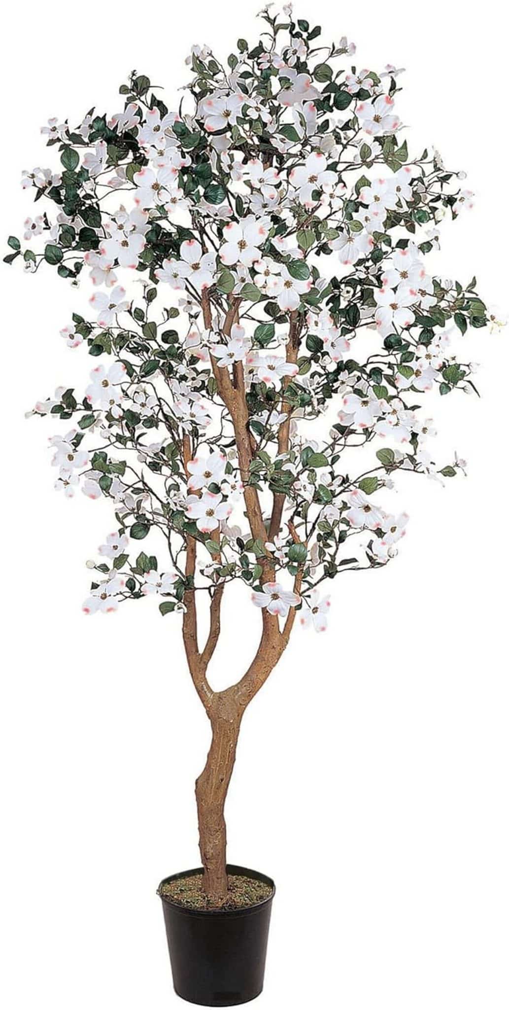 Avis sur l'arbre en soie Dogwood 1, 5 m de NearlyNatural