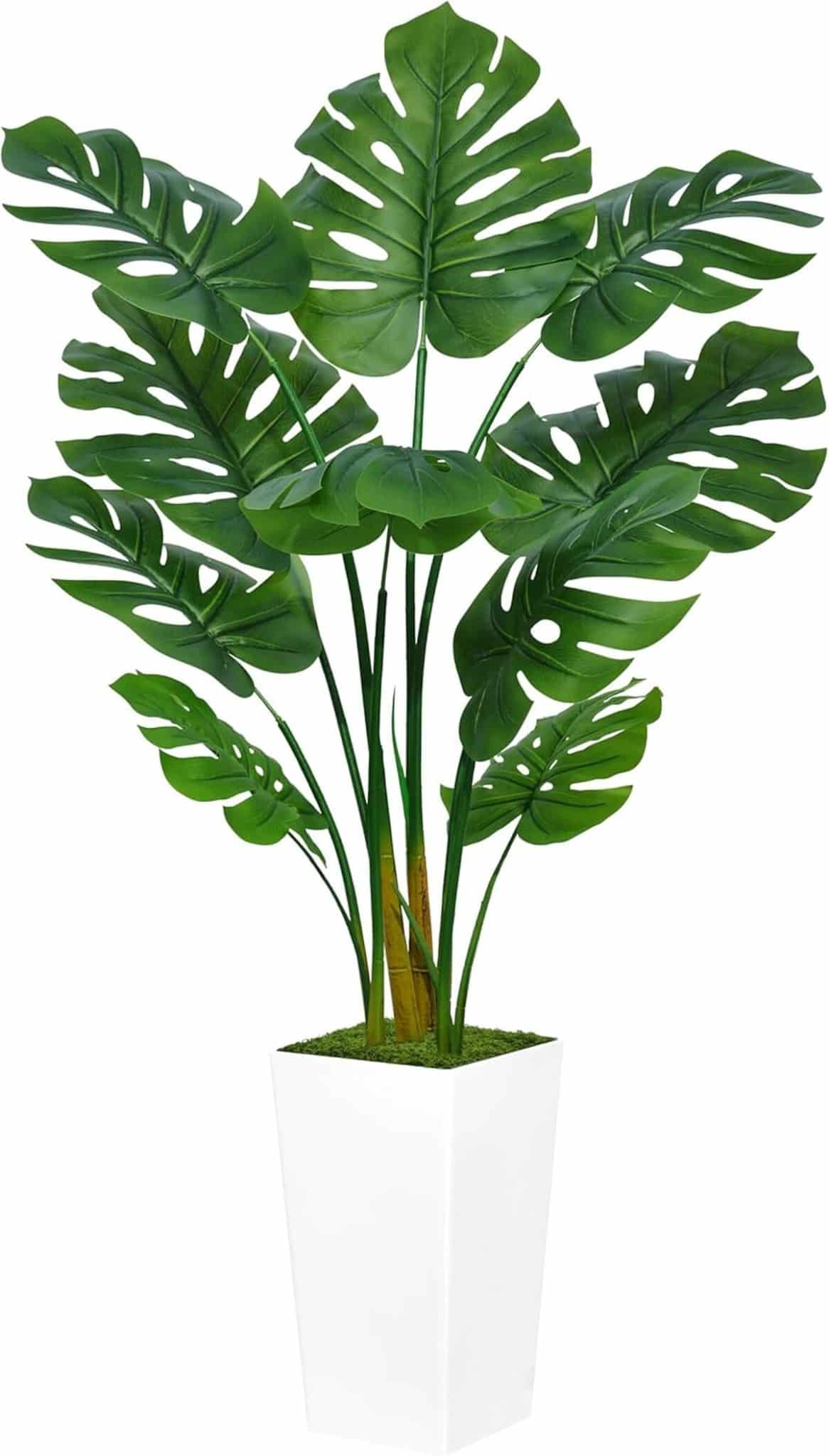 Avis sur l'ASTIDY Monstera artificielle 1, 5 m avec pot blanc