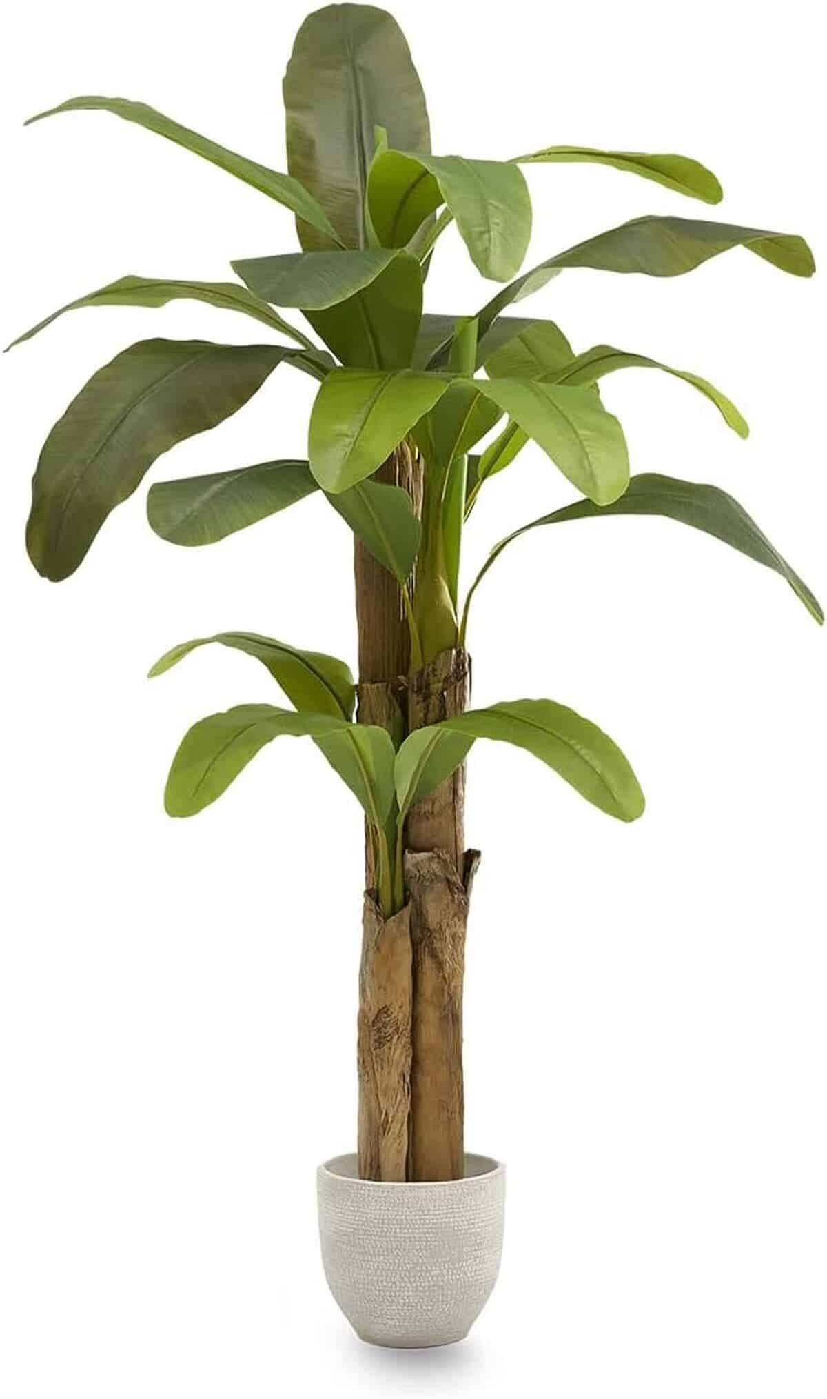 Avis sur le bananier artificiel Maia Shop : décoration intérieure grandeur nature