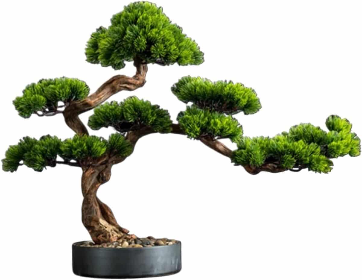 Avis sur le bonsaï artificiel XXAD553TY de style chinois