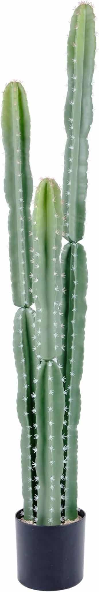Avis sur le cactus artificiel bellacat : décor de 1, 5 m réaliste