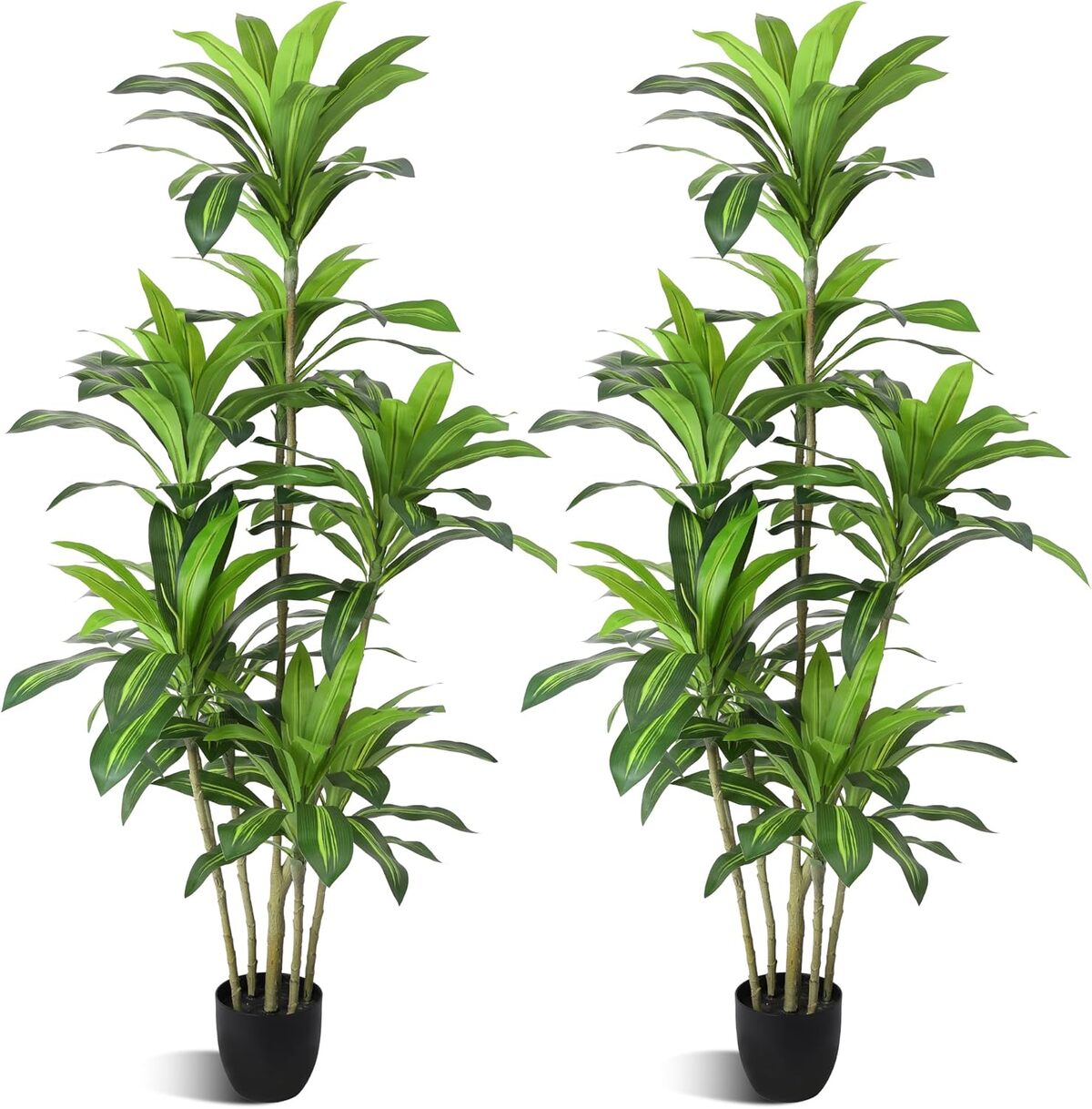 Avis sur le dracaena fragrans artificiel Waoops : beauté intérieure