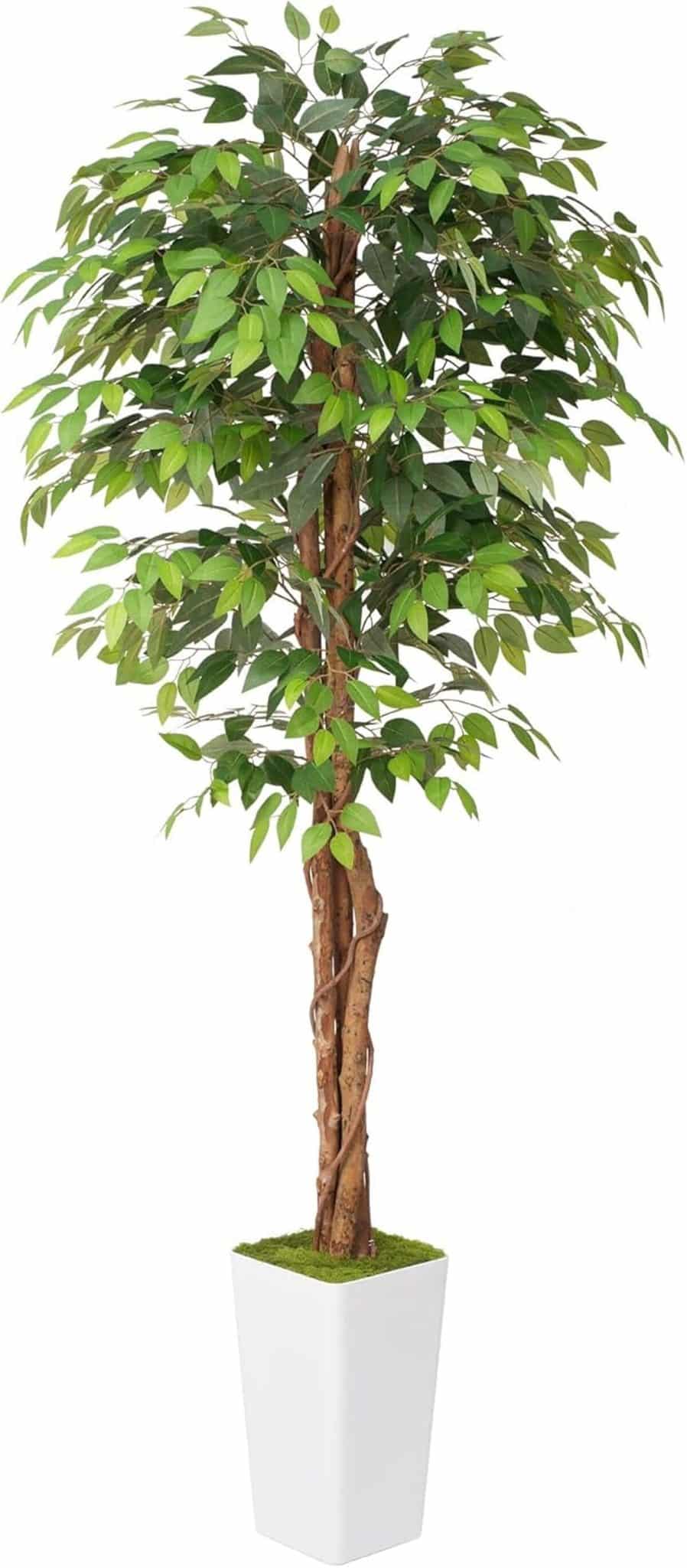 Avis sur le Ficus artificiel Waoops 2, 1 m : élégance et verdure chez soi
