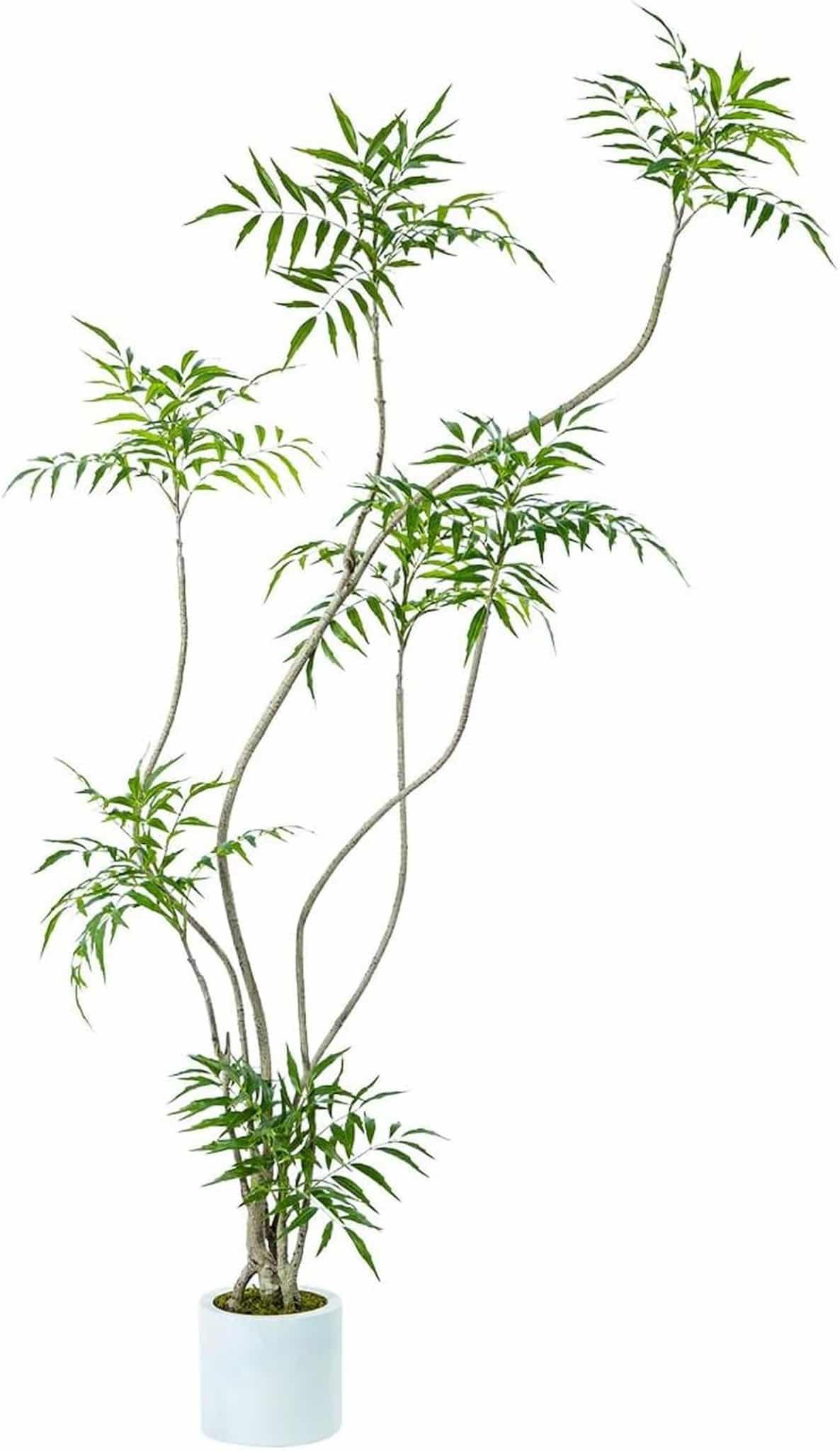 Avis sur le mahonia fortunei artificiel : élégance et réalisme à 1, 8 m