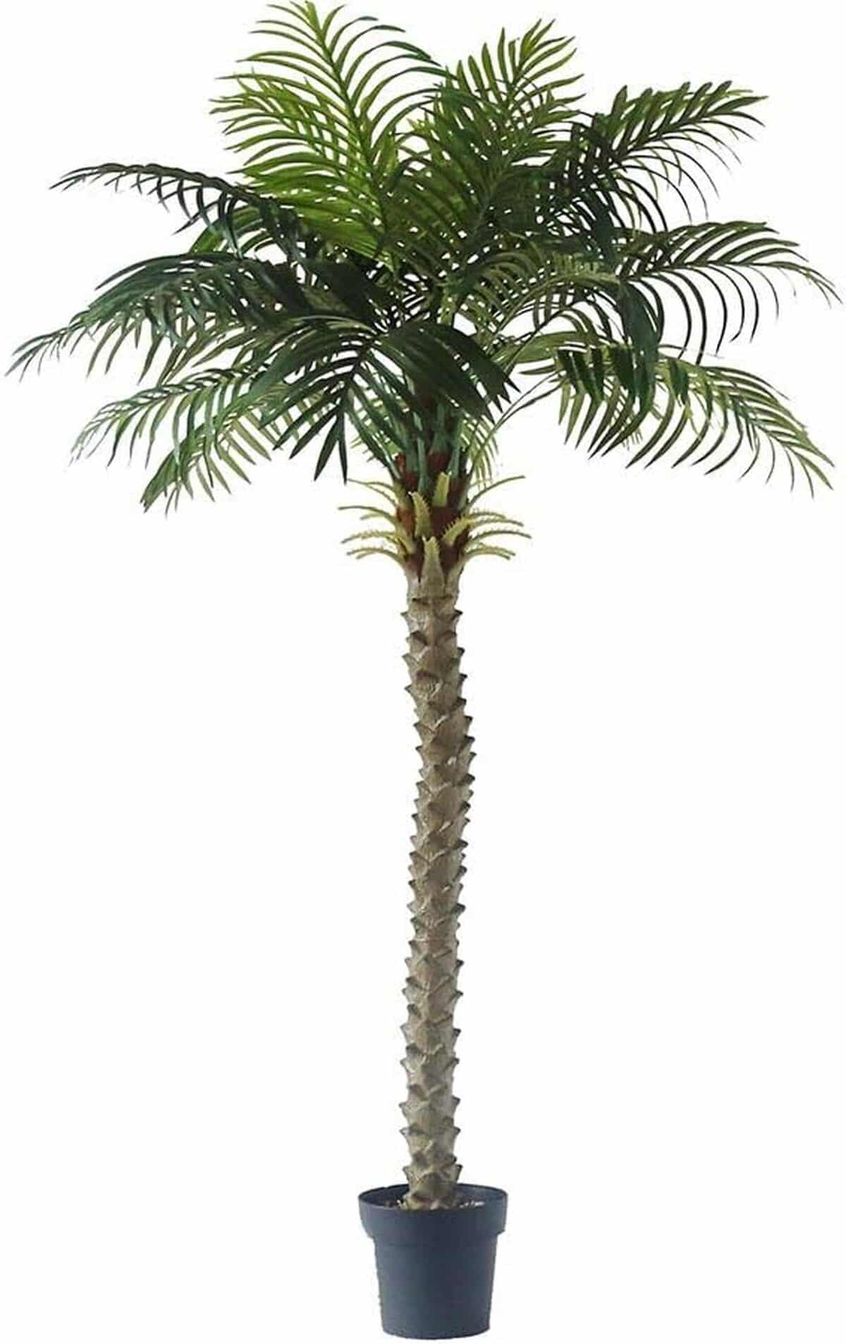 Avis sur le palmier artificiel décoratif en coco 160 cm