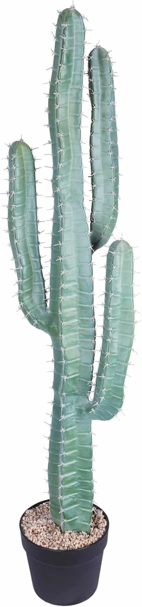 Avis sur les cactus artificiels Ruwenus : déco intérieure et extérieure