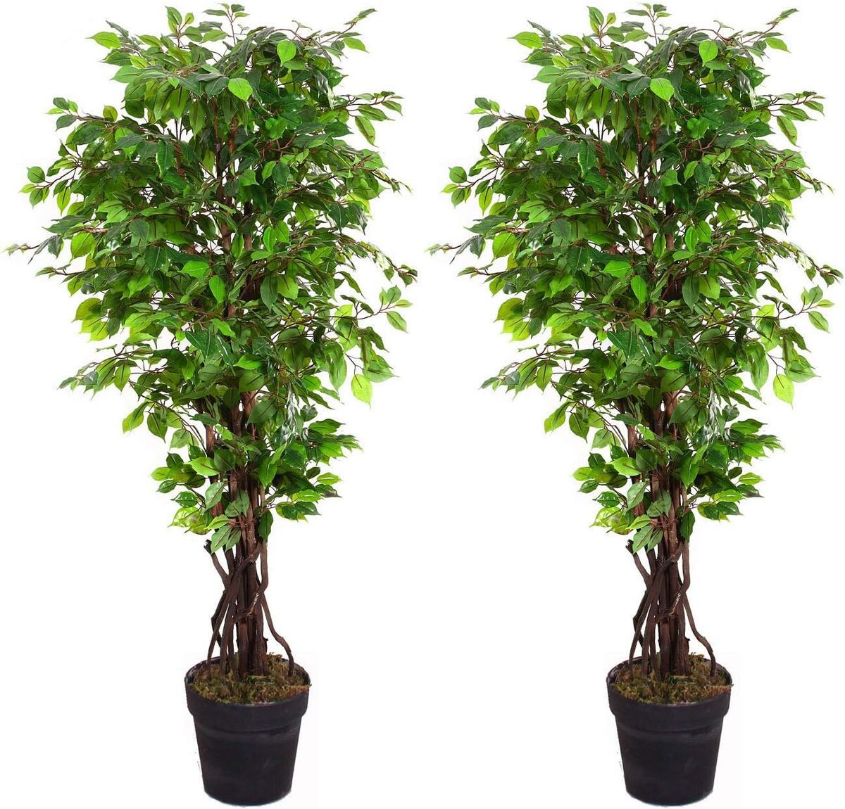 Avis sur les plantes artificielles Amérique : beauté unique et protection UV