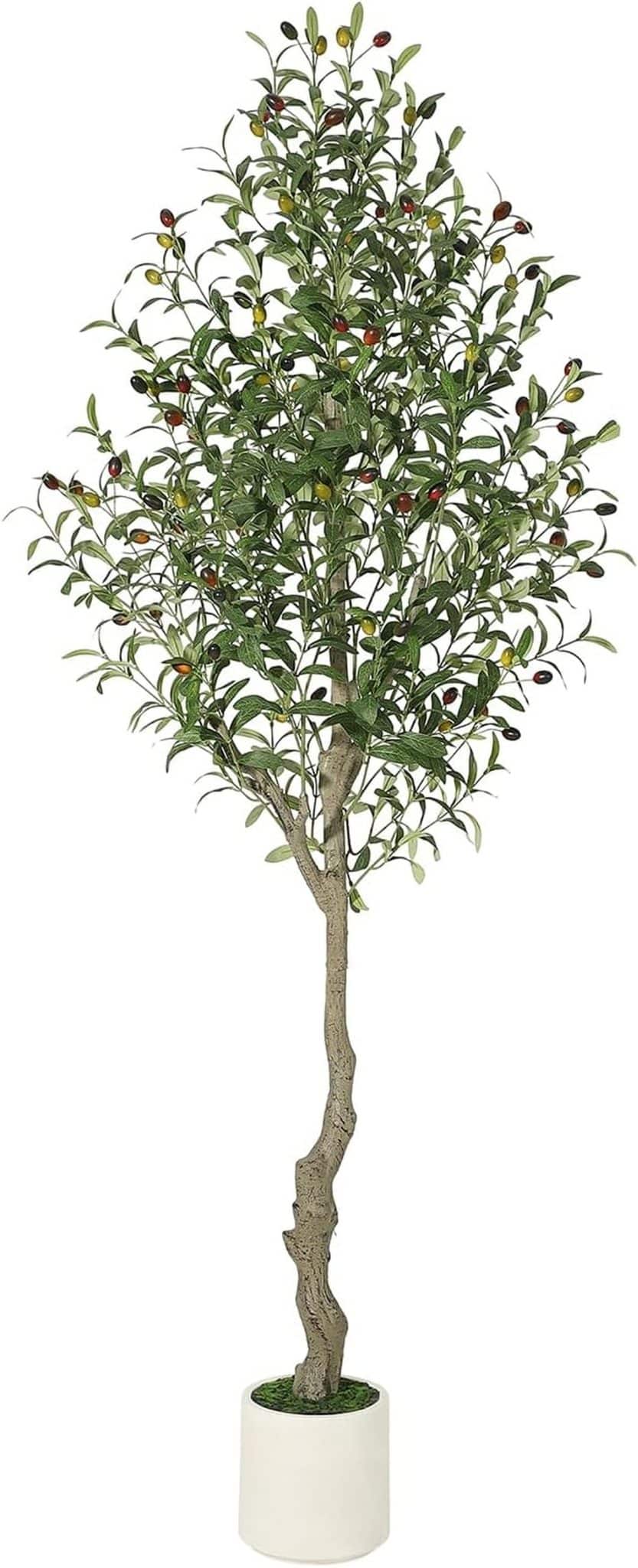 Avis sur l'olivier artificiel en pot blanc de 1, 8 m