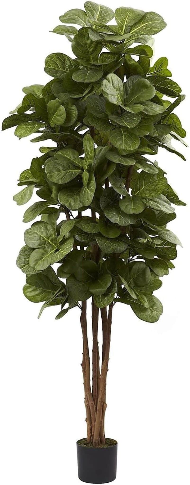 Test des arbres artificiels Nearly Natural 183 cm