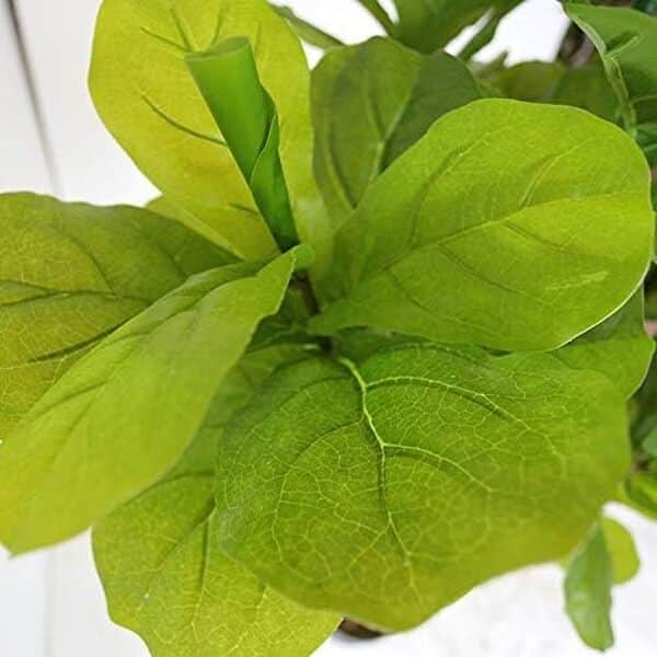 AMERIQUE Fee AMLV8253A6 Magnifique et dense plante artificielle en soie avec protection UV et pot en plastique pour chambre d'enfant, technologie sensationnelle, super qualité, 1,8 m, vert