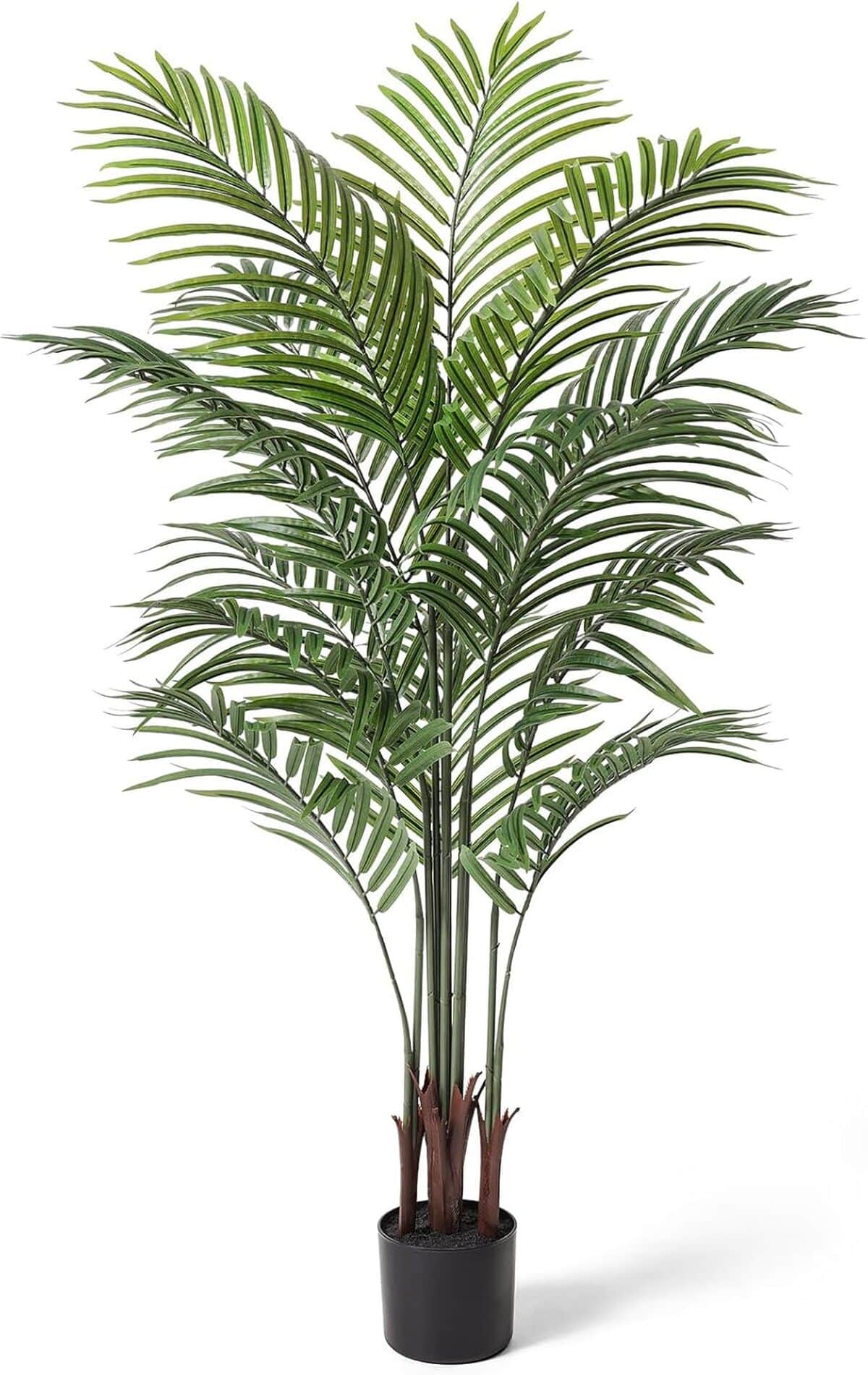 Avis palmier areca crosofmi 1, 4 m : déco moderne et naturelle